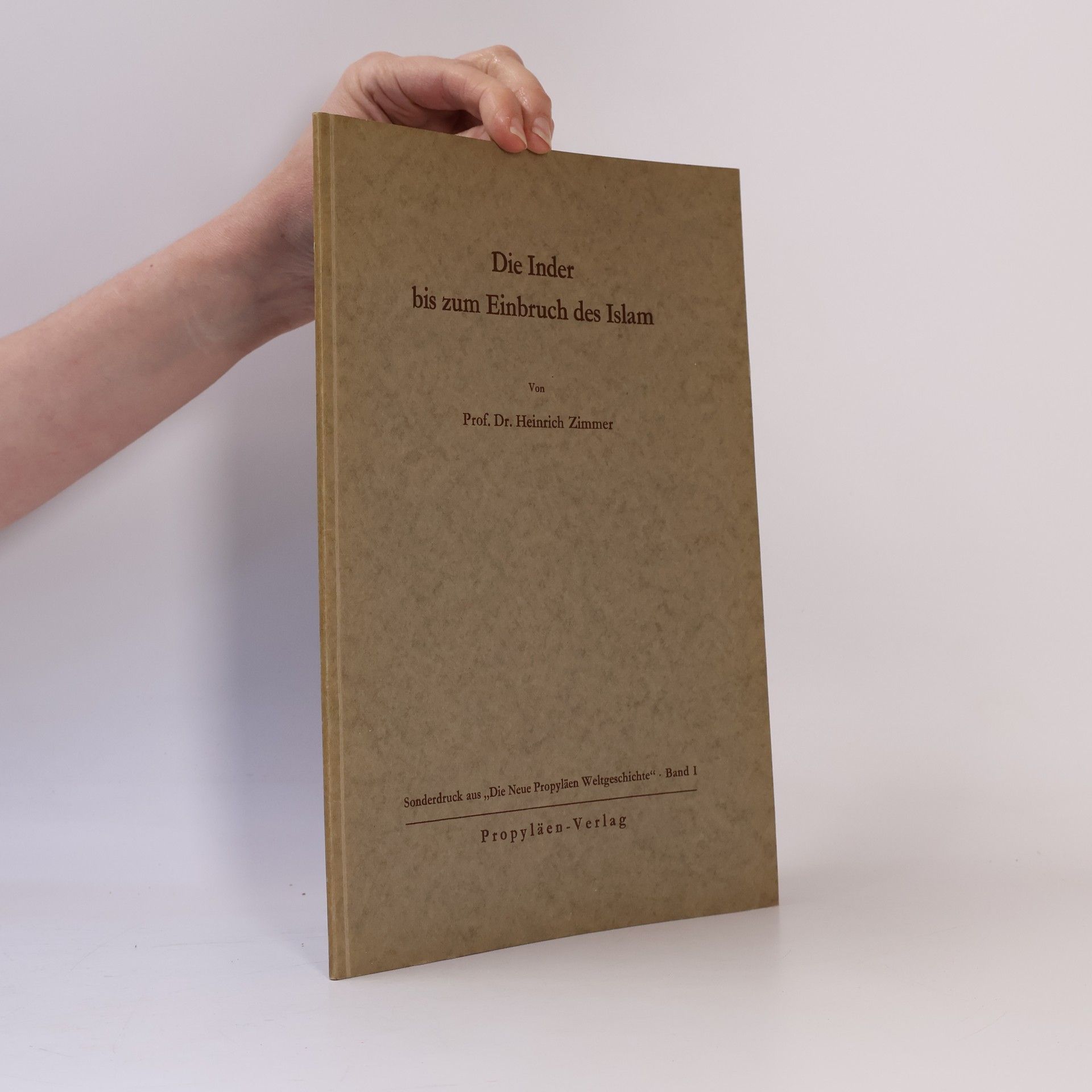 Die Inder bis zum Einbruch des Islam