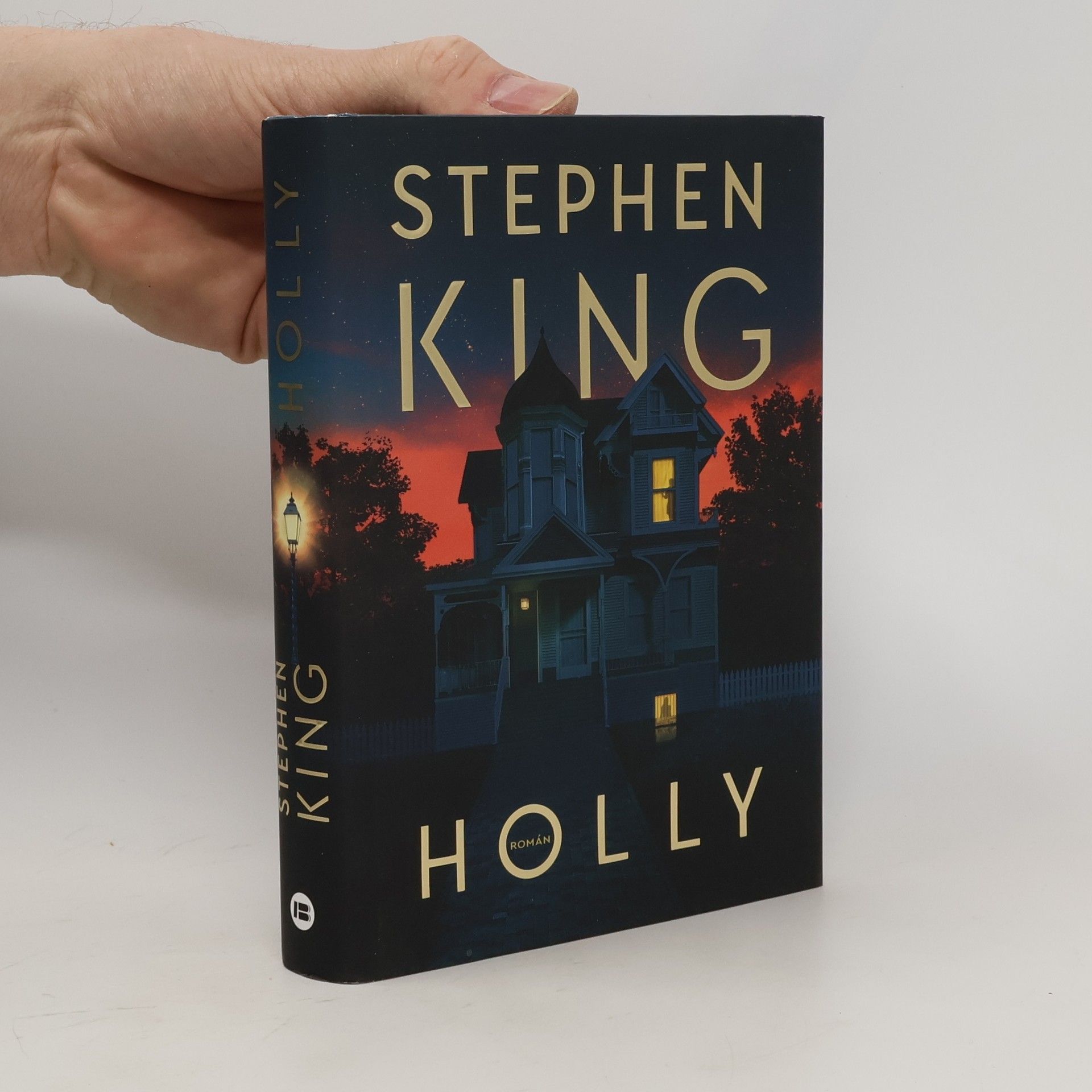 Stephen King Holly