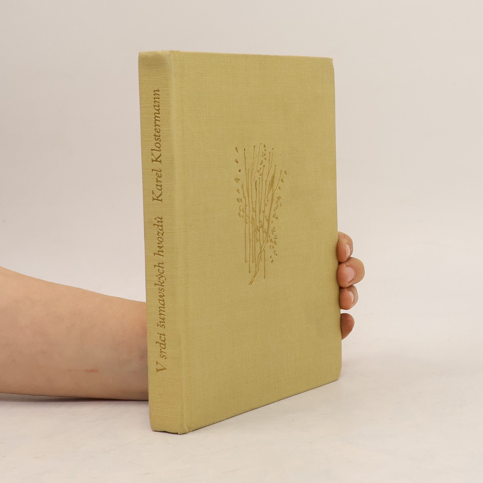 Karel Klostermann V srdci šumavských hvozdů