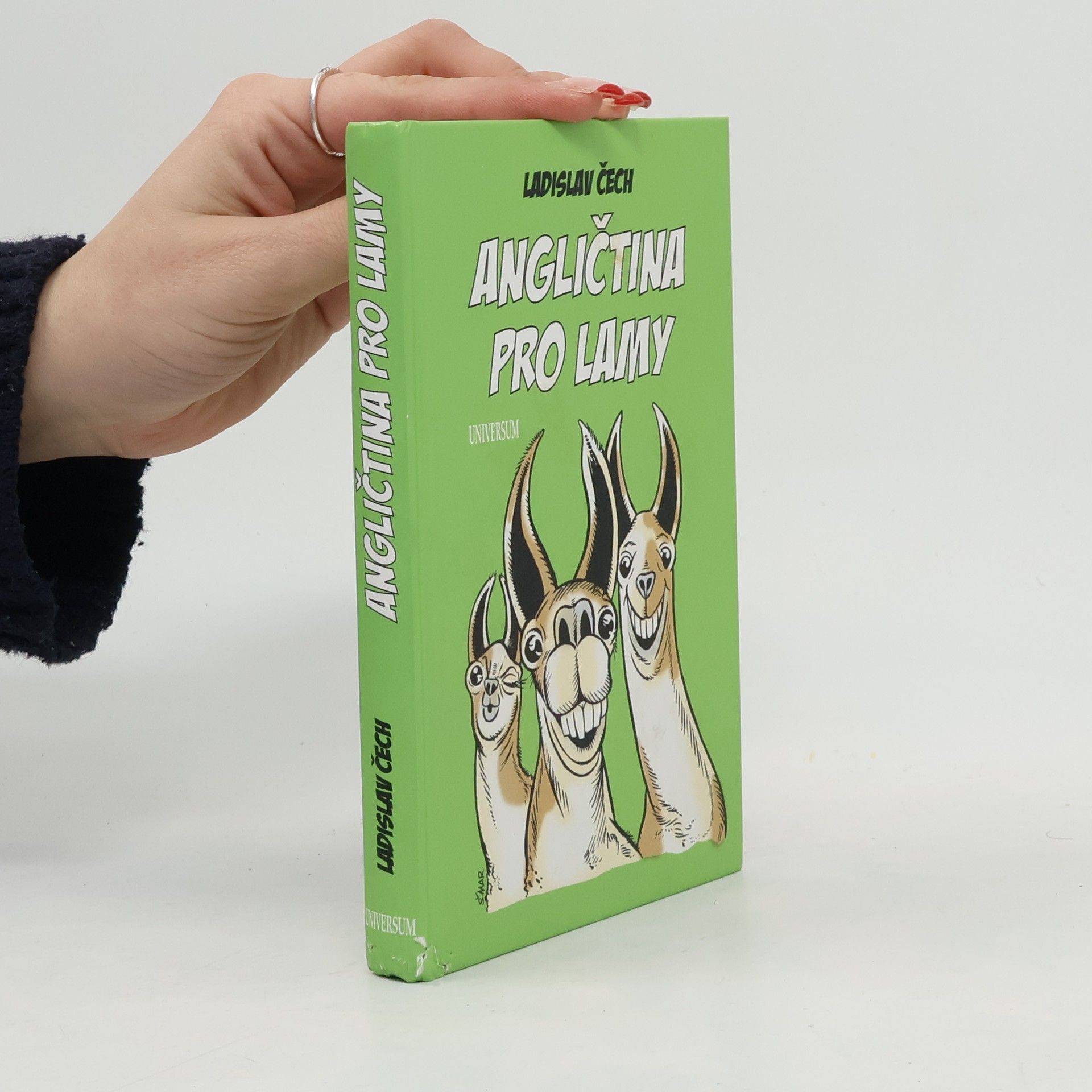 Ladislav Čech Angličtina pro lamy