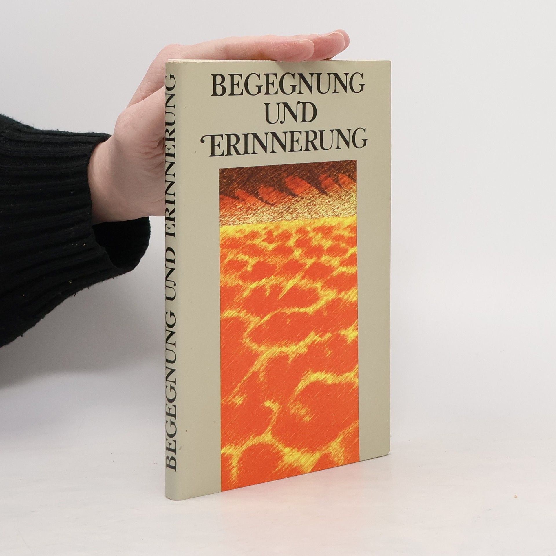 Kolektív autorov Begegnung und Erinnerung