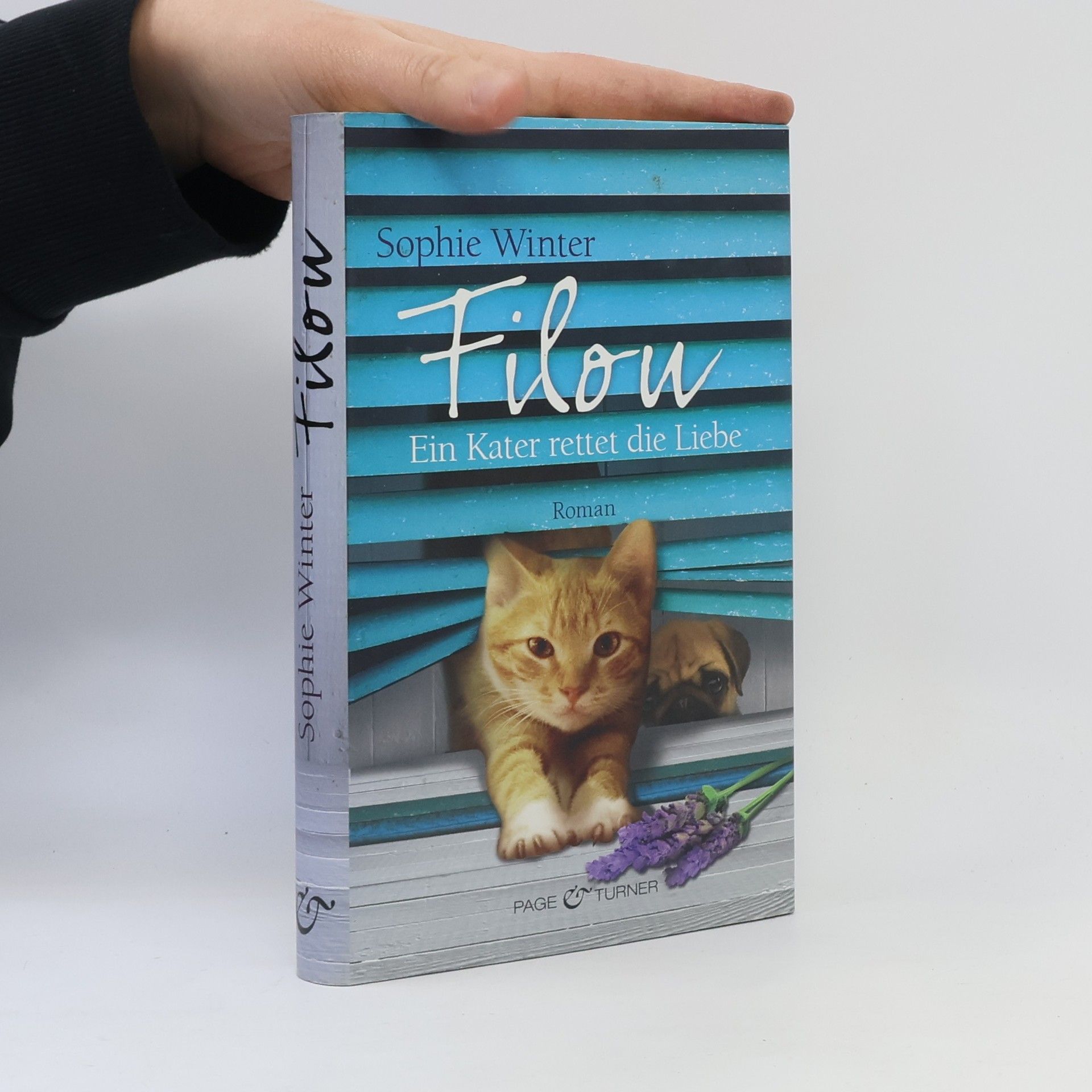Sophie Winter Filou. Ein Kater rettet die Liebe