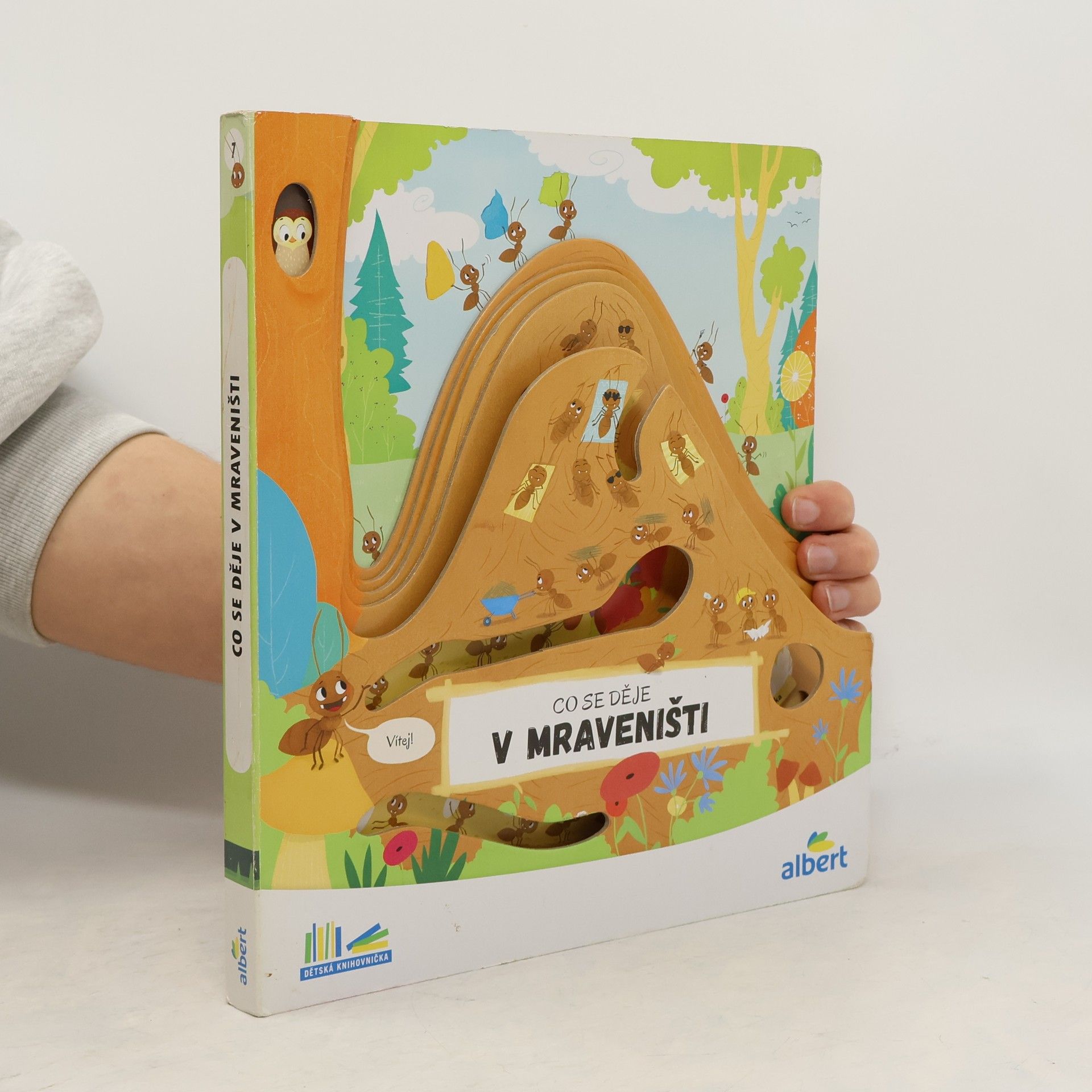 AA.VV. Co se děje v mraveništi