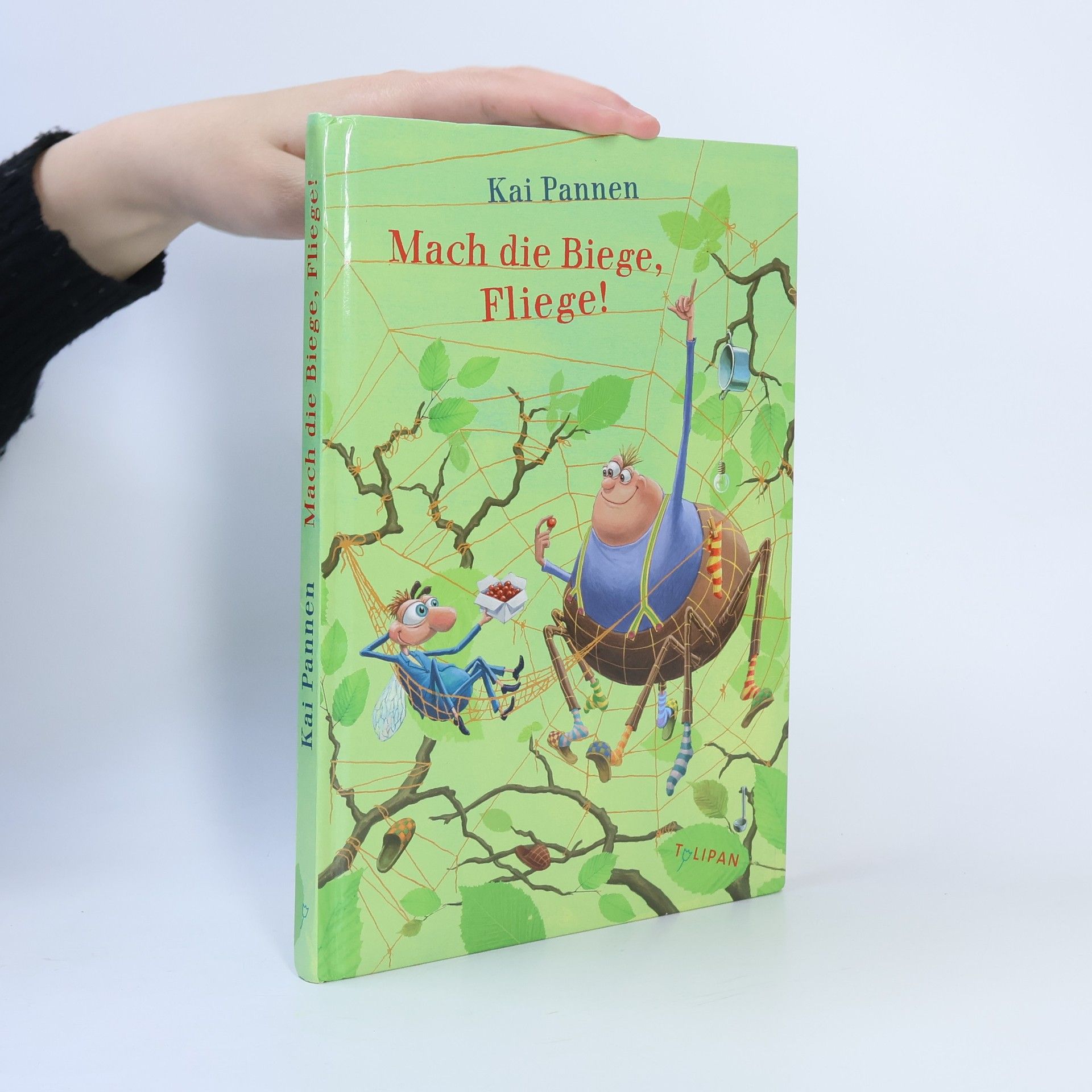 Kai Pannen Mach die Biege, Fliege!