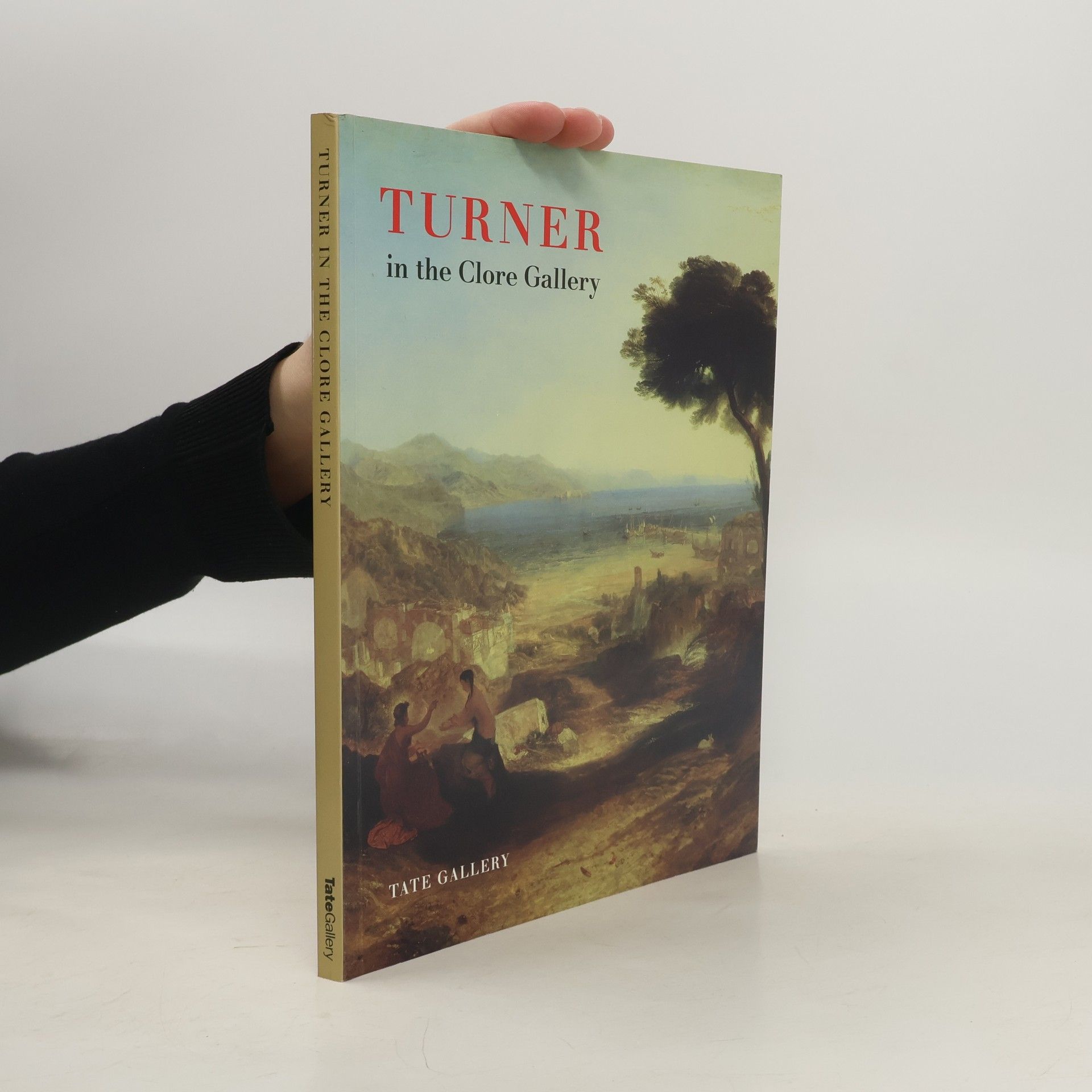 Various authors Turner in the Clore Gallery : an illustrated guide