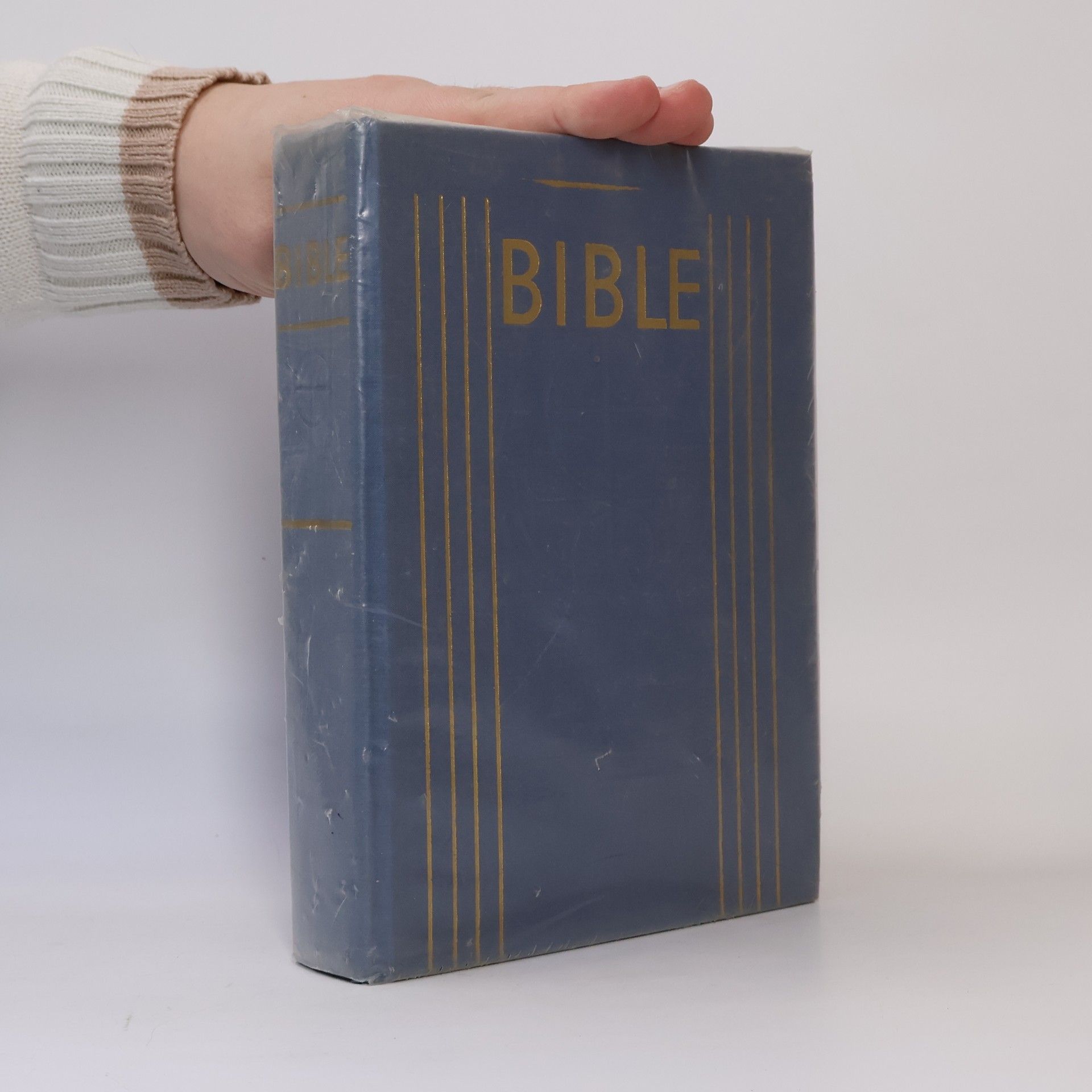 Various authors Bible. Písmo svaté Starého a Nového zákona