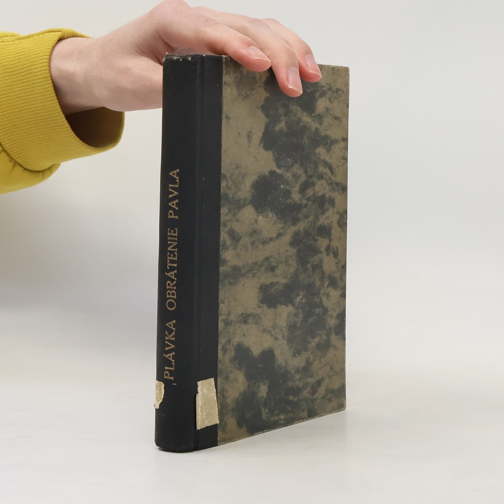 Andrej Plávka Obrátenie Pavla