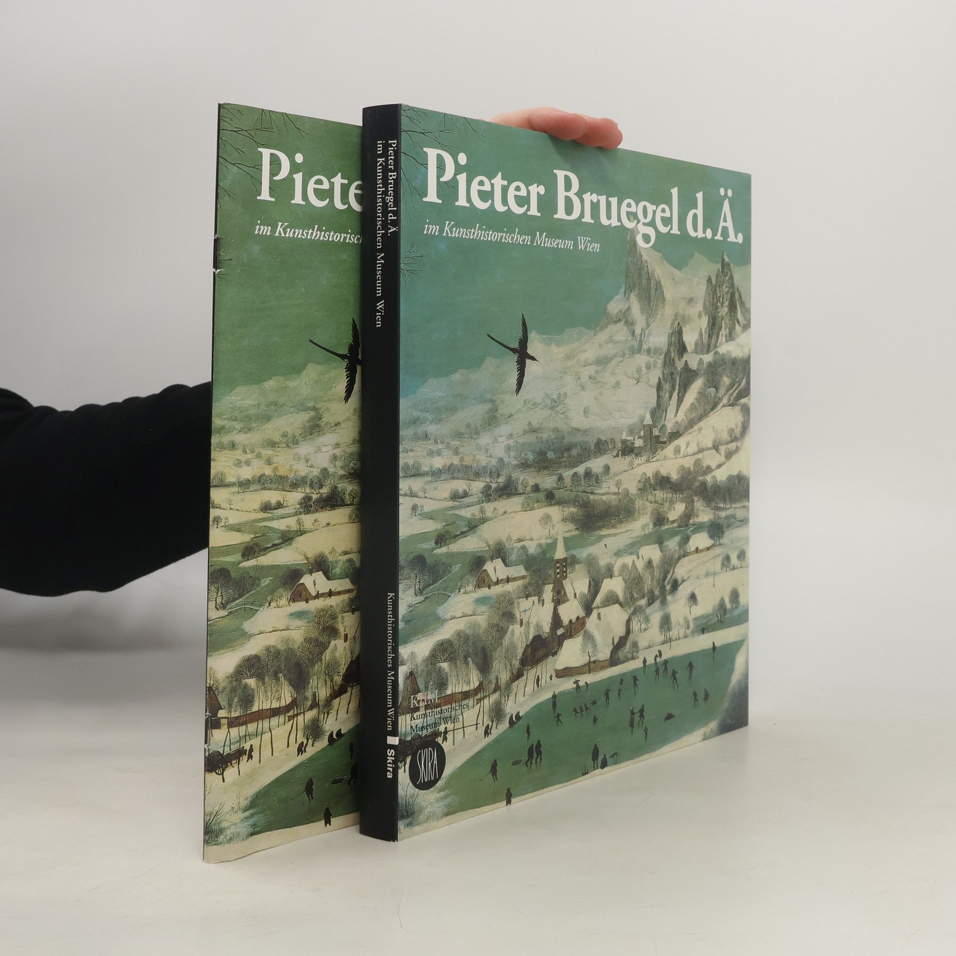 Pieter Brueghel the Elder Pieter Bruegel d.Ä. im Kunsthistorischen Museum Wien
