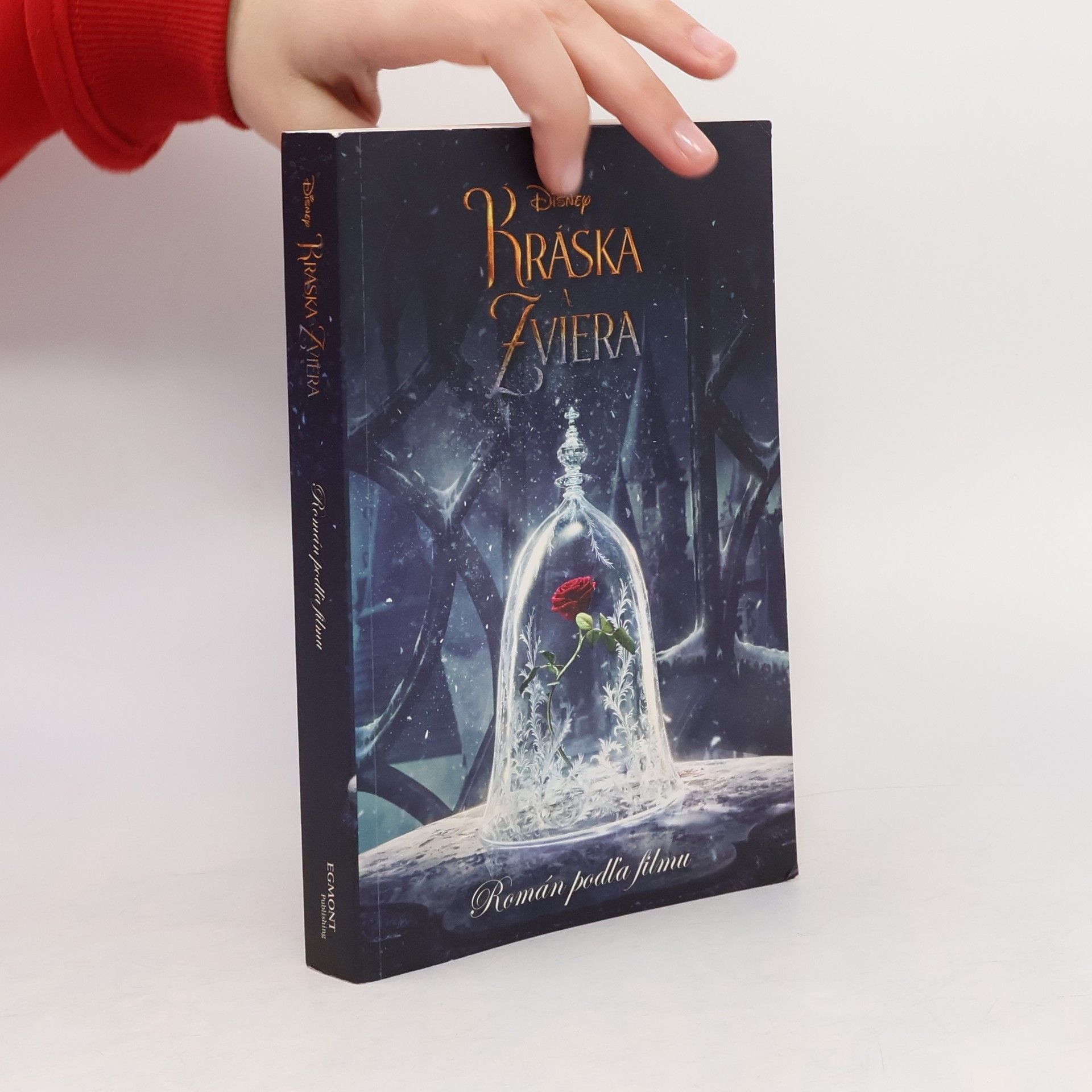 Elizabeth Rudnick Kráska a zviera - Román podľa filmu