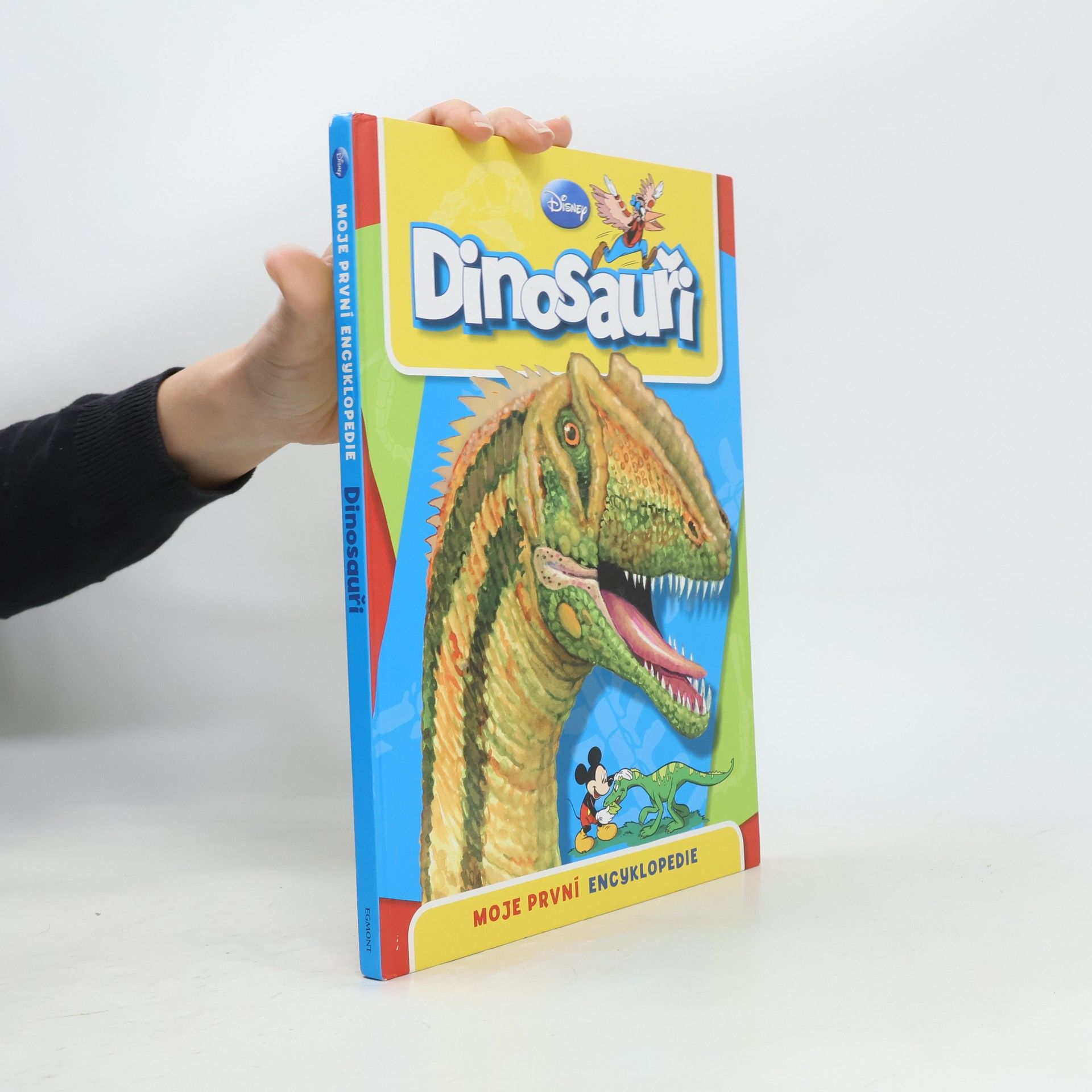 Michael Fokt Dinosauři: Moje první encyklopedie