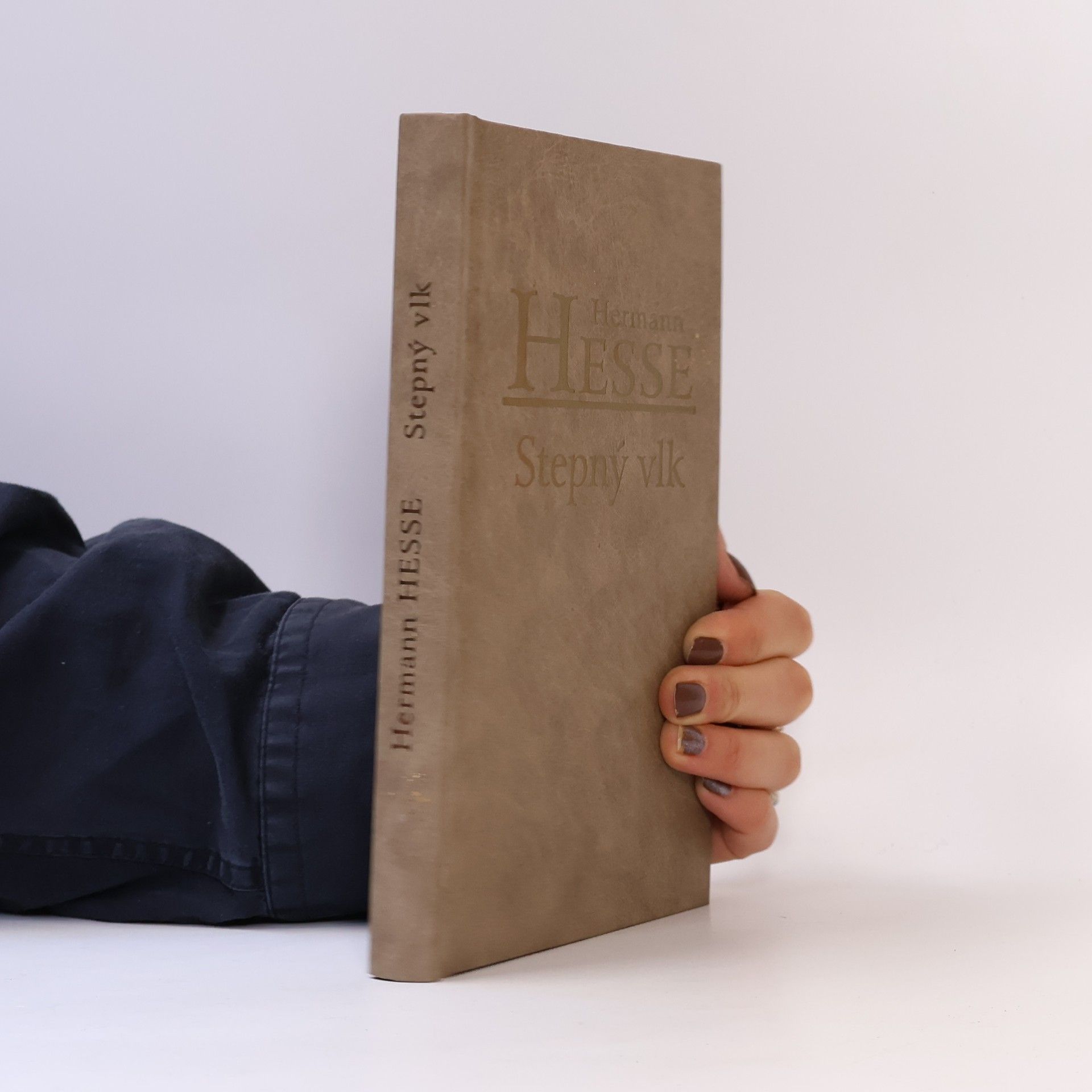 Hermann Hesse Stepný vlk