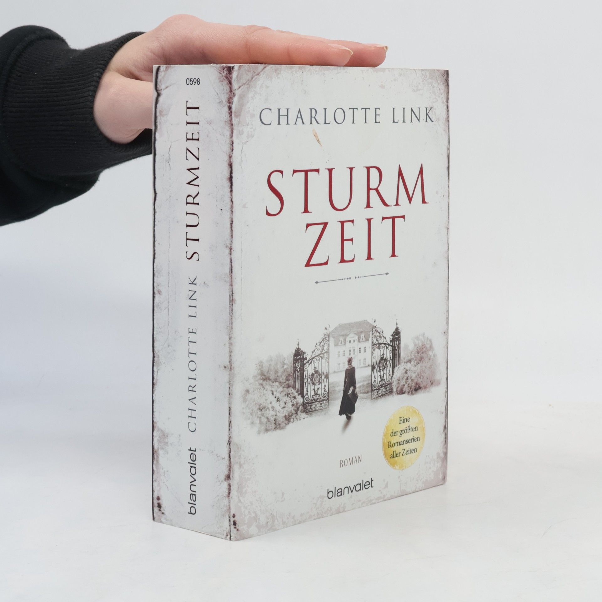 Charlotte Link Sturmzeit