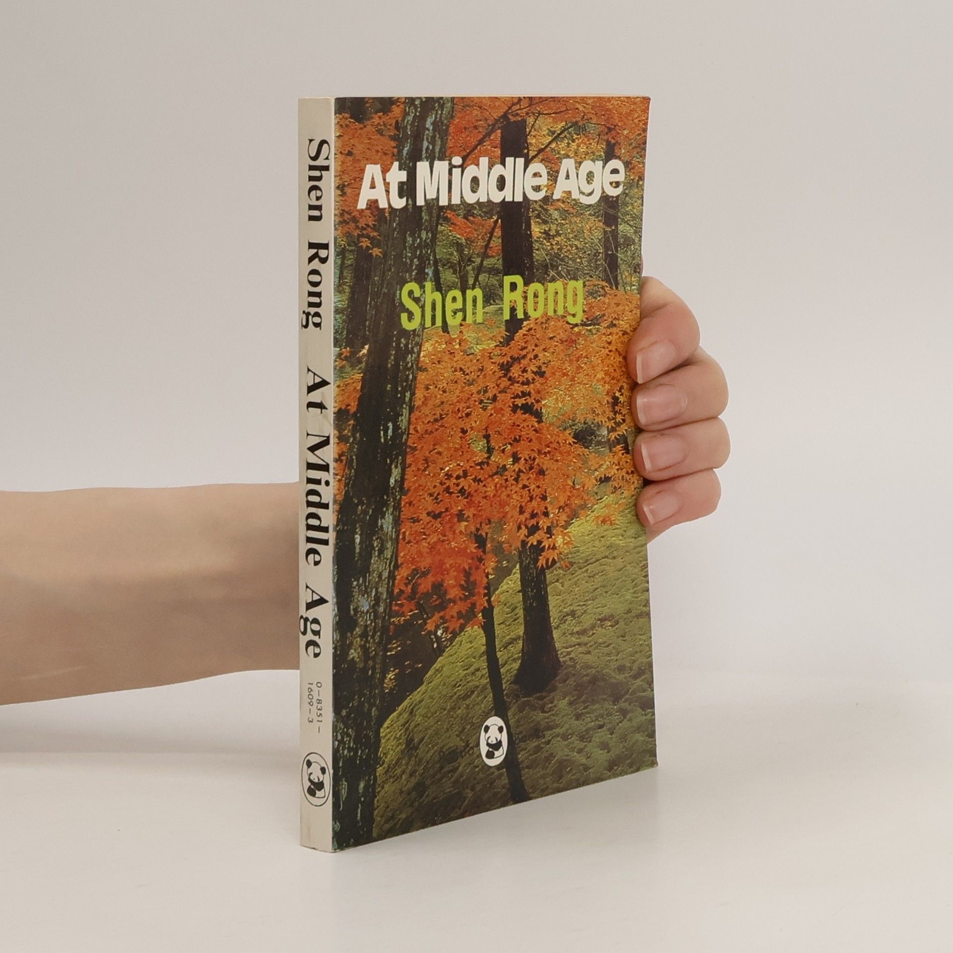 Shen Rong At Middle Age