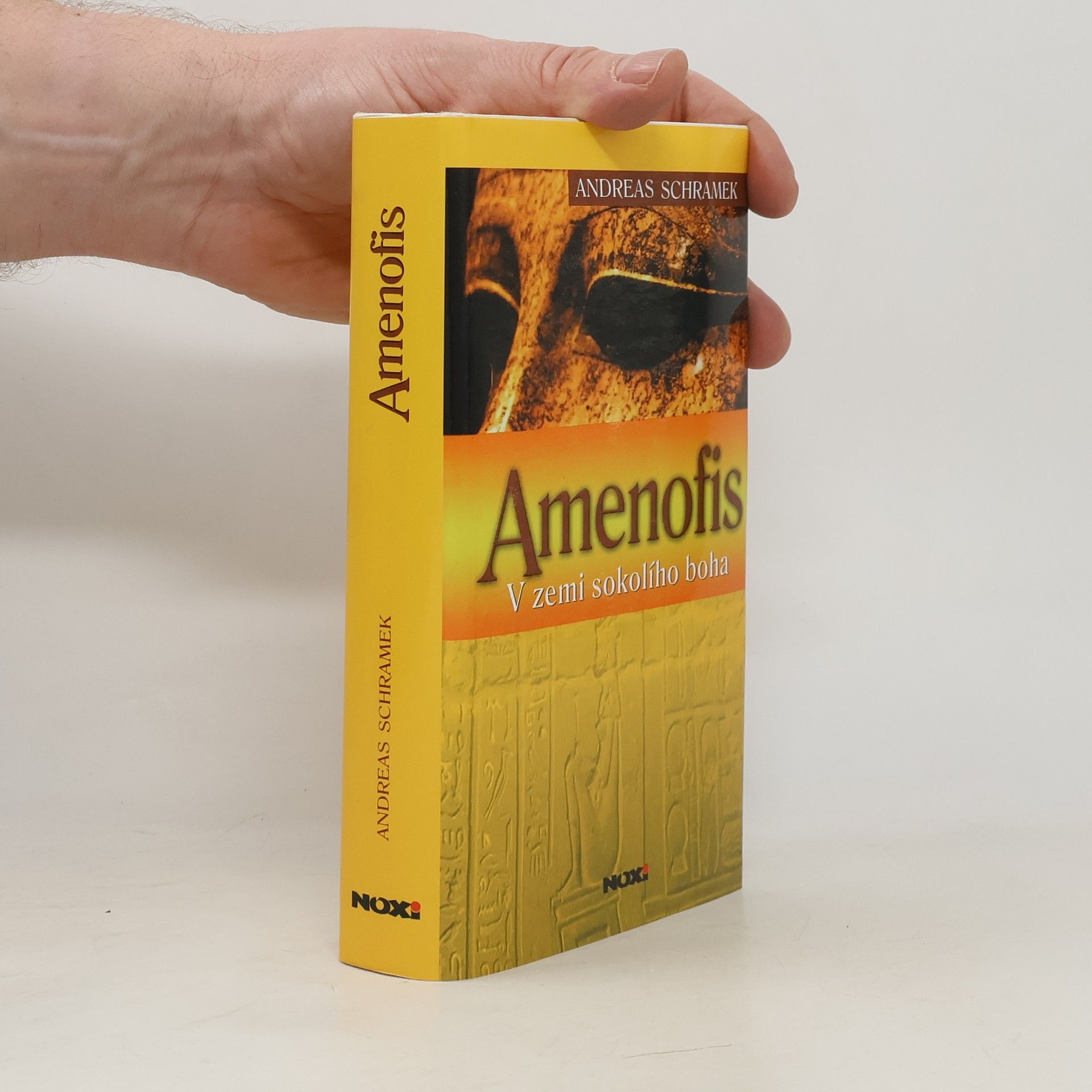 Amenofis: V zemi sokolího boha