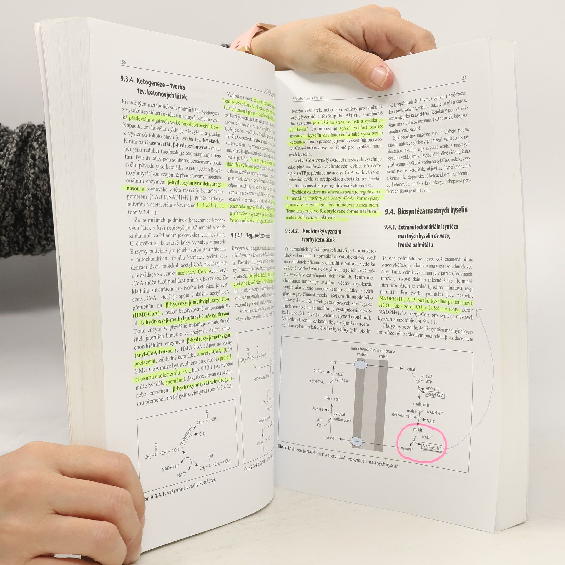 Bohuslav Matouš Základy lékařské chemie a biochemie