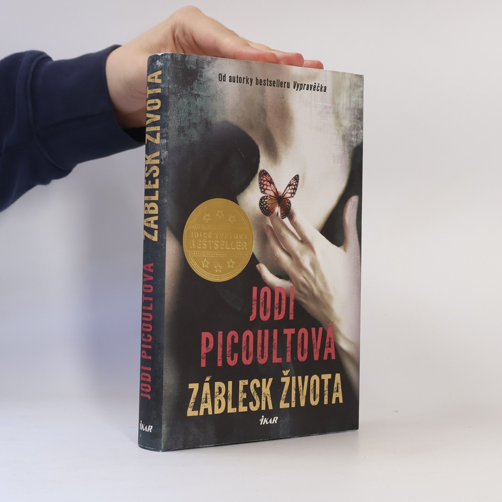 Jodi Picoult Záblesk života