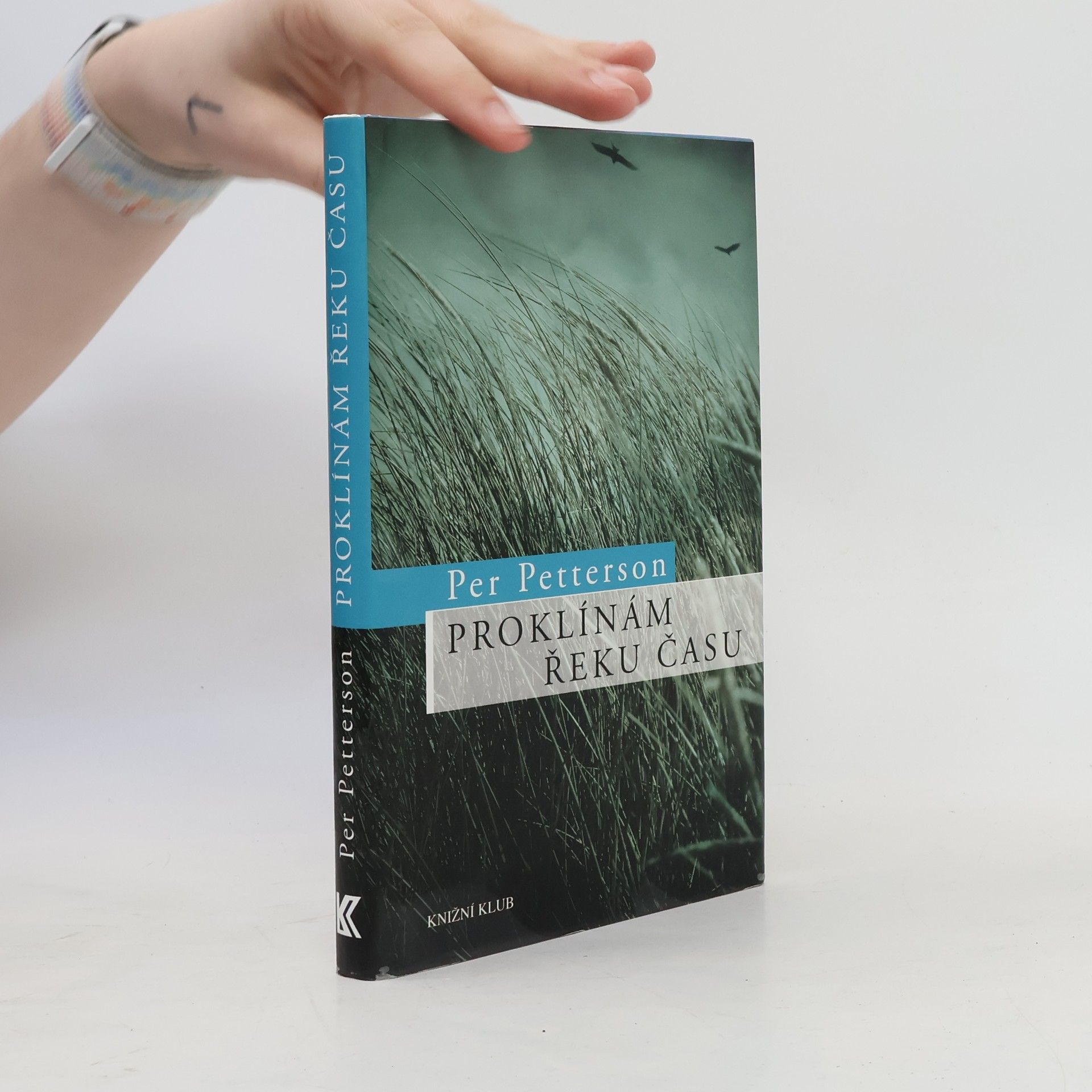 Per Petterson Proklínám řeku času