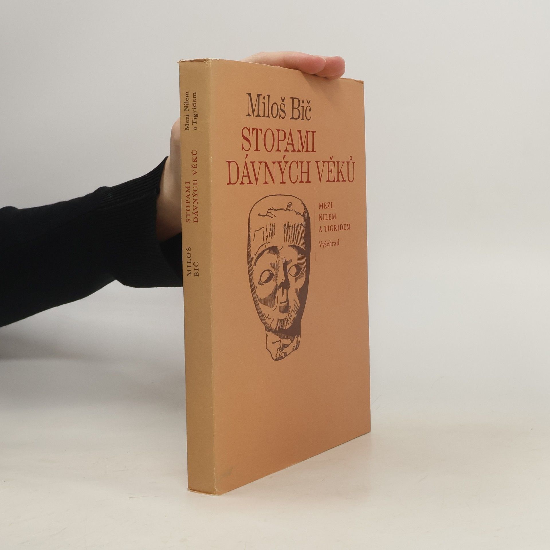 Vladimír Vokálek Stopami dávných věků