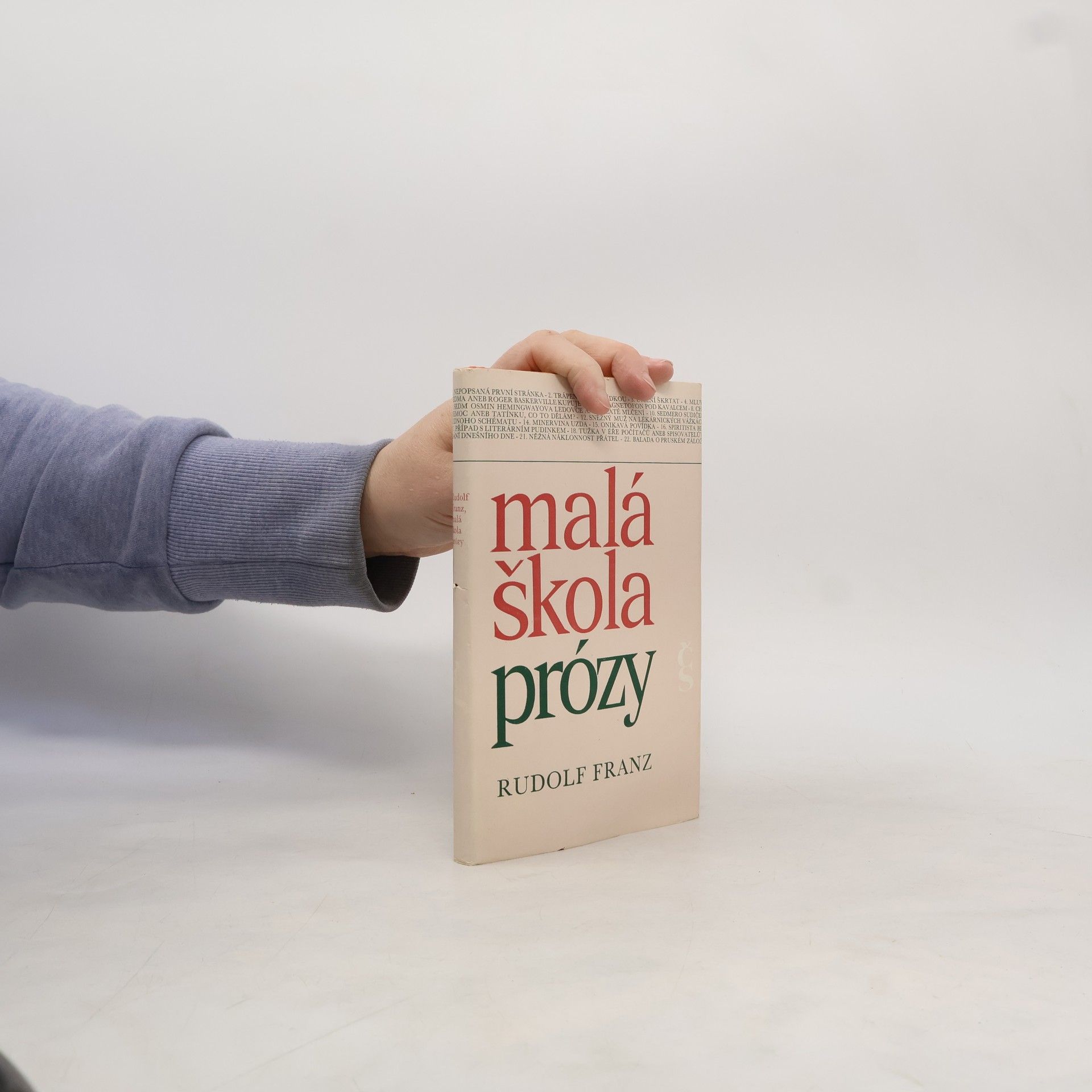 Malá škola prózy