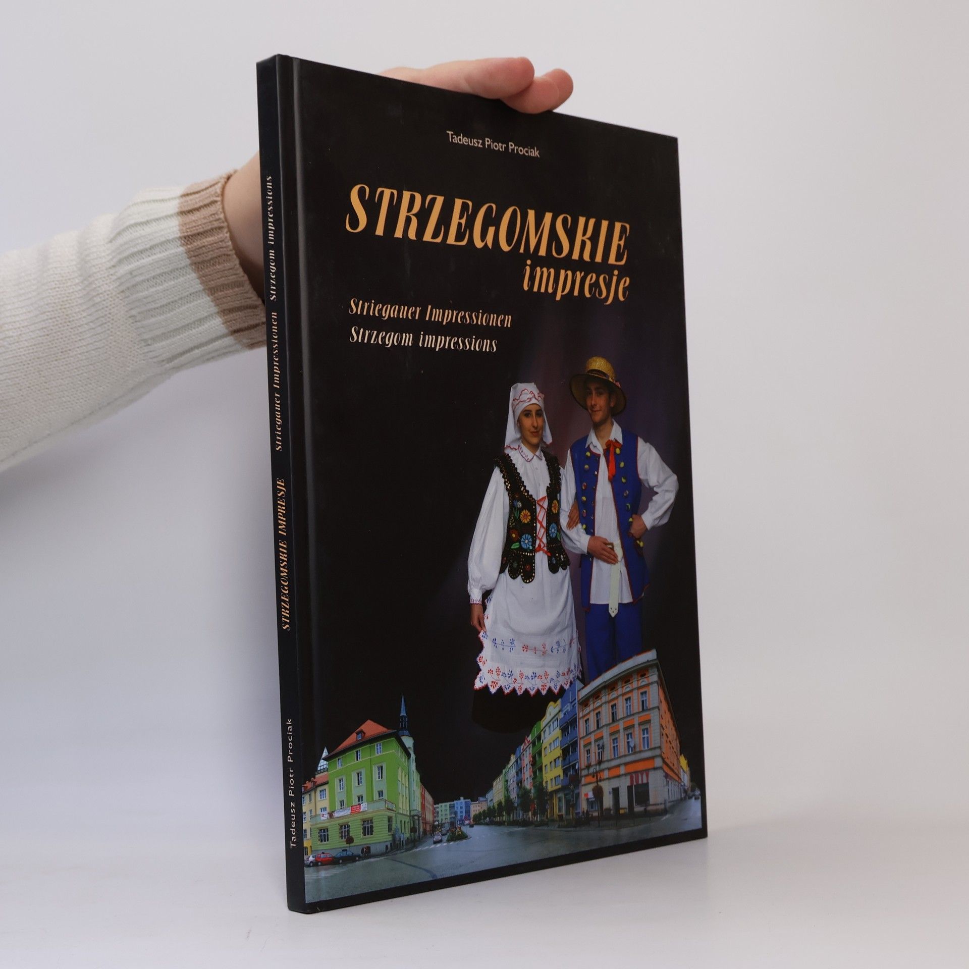 Striegauer Impressionen