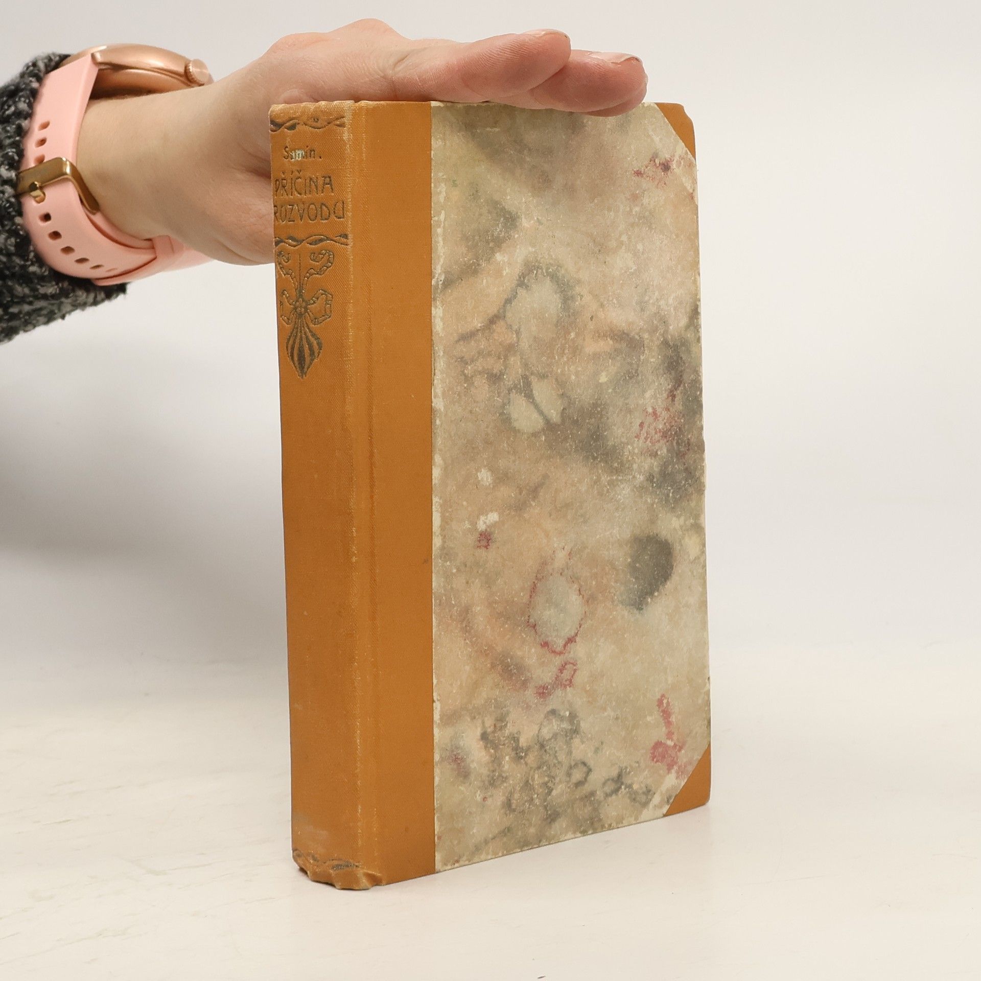 Jiří Sumín Příčina rozvodu