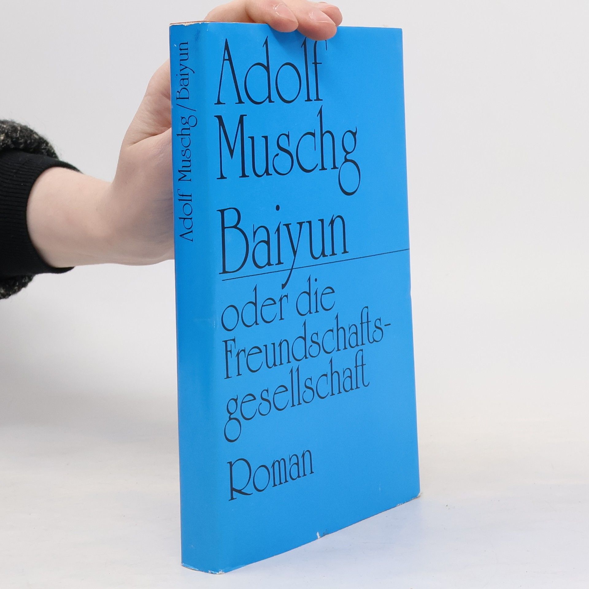 Adolf Muschg Baiyun oder die Freundschaftsgesellschaft