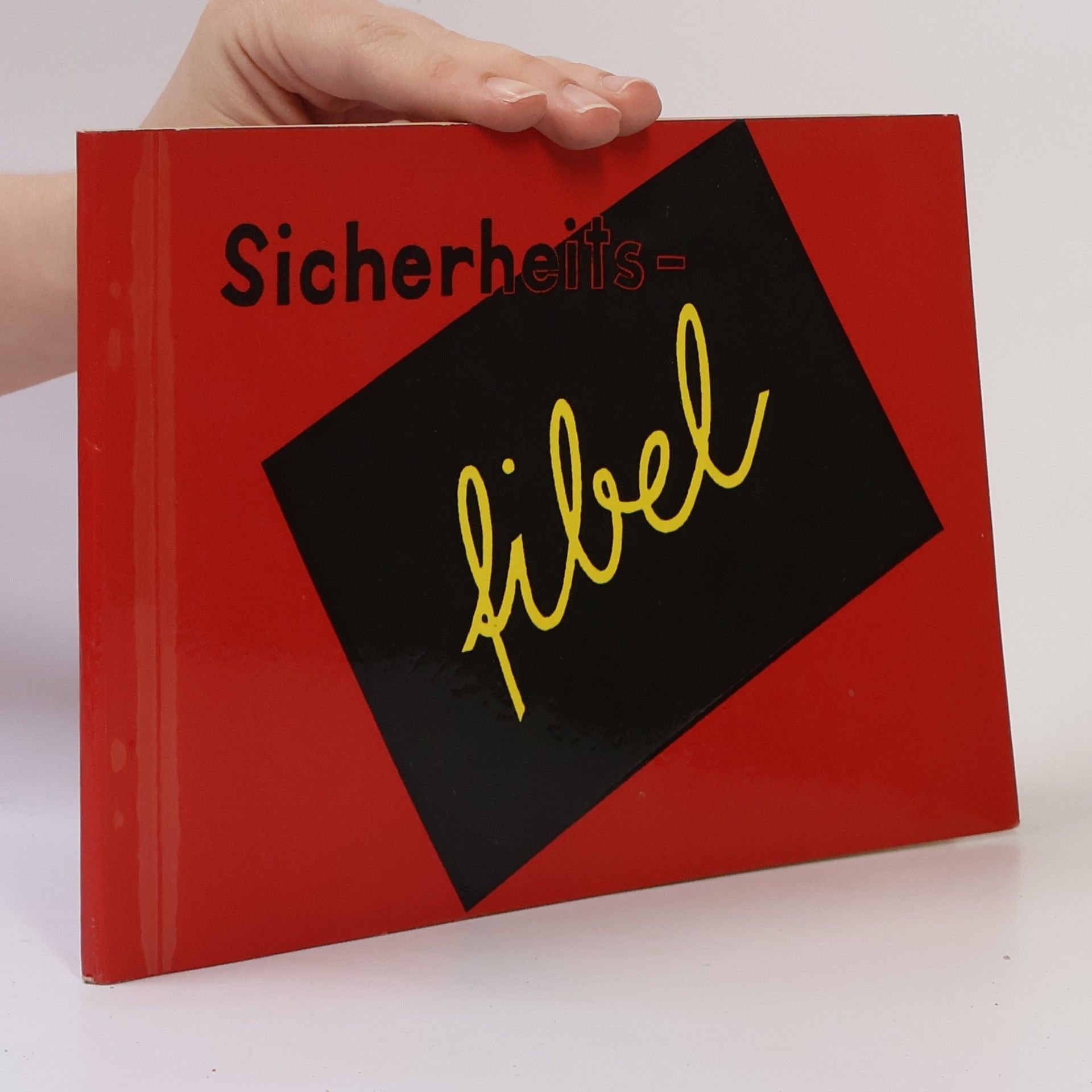 Autores varios Sicherheitsfibel