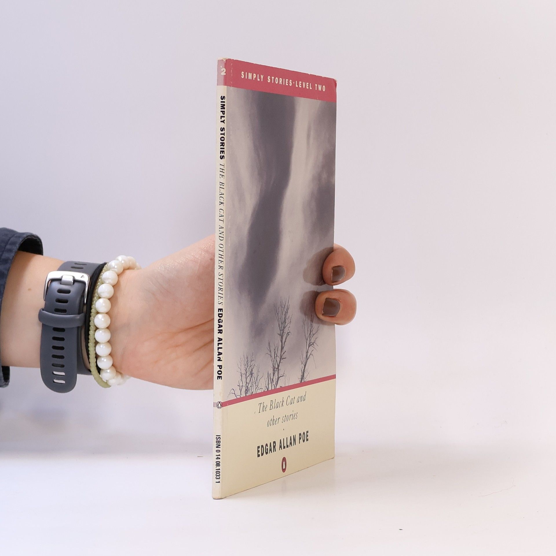 Edgar Allan Poe The Black Cat and Other Stories