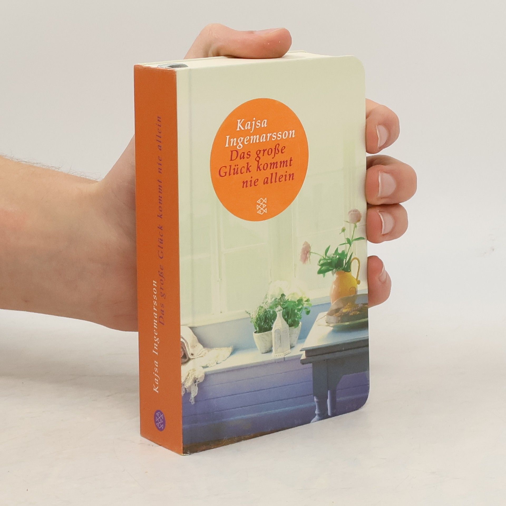 Kajsa Ingemarsson Das große Glück kommt nie allein