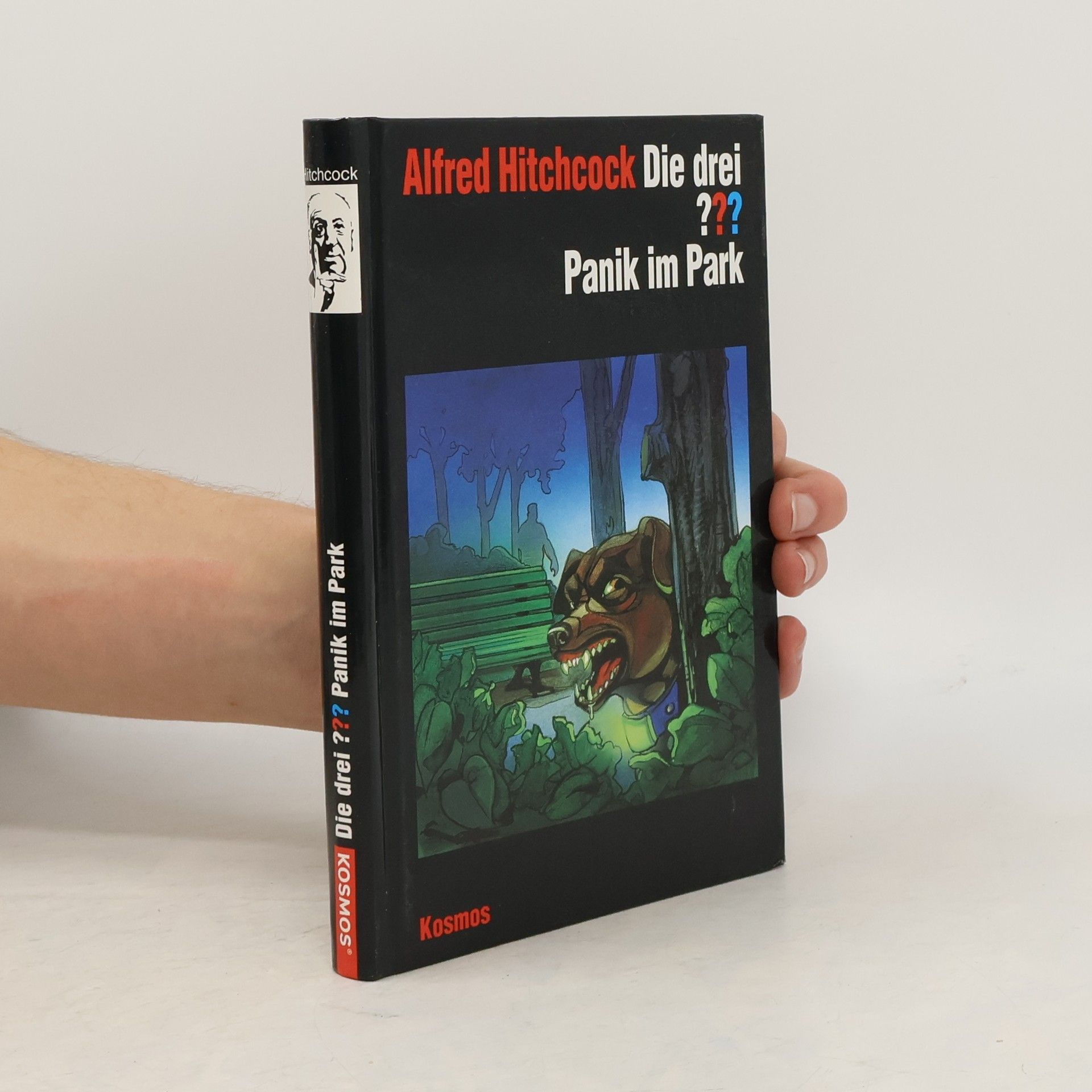 Robert Arthur Die drei ??? - Panik im Park