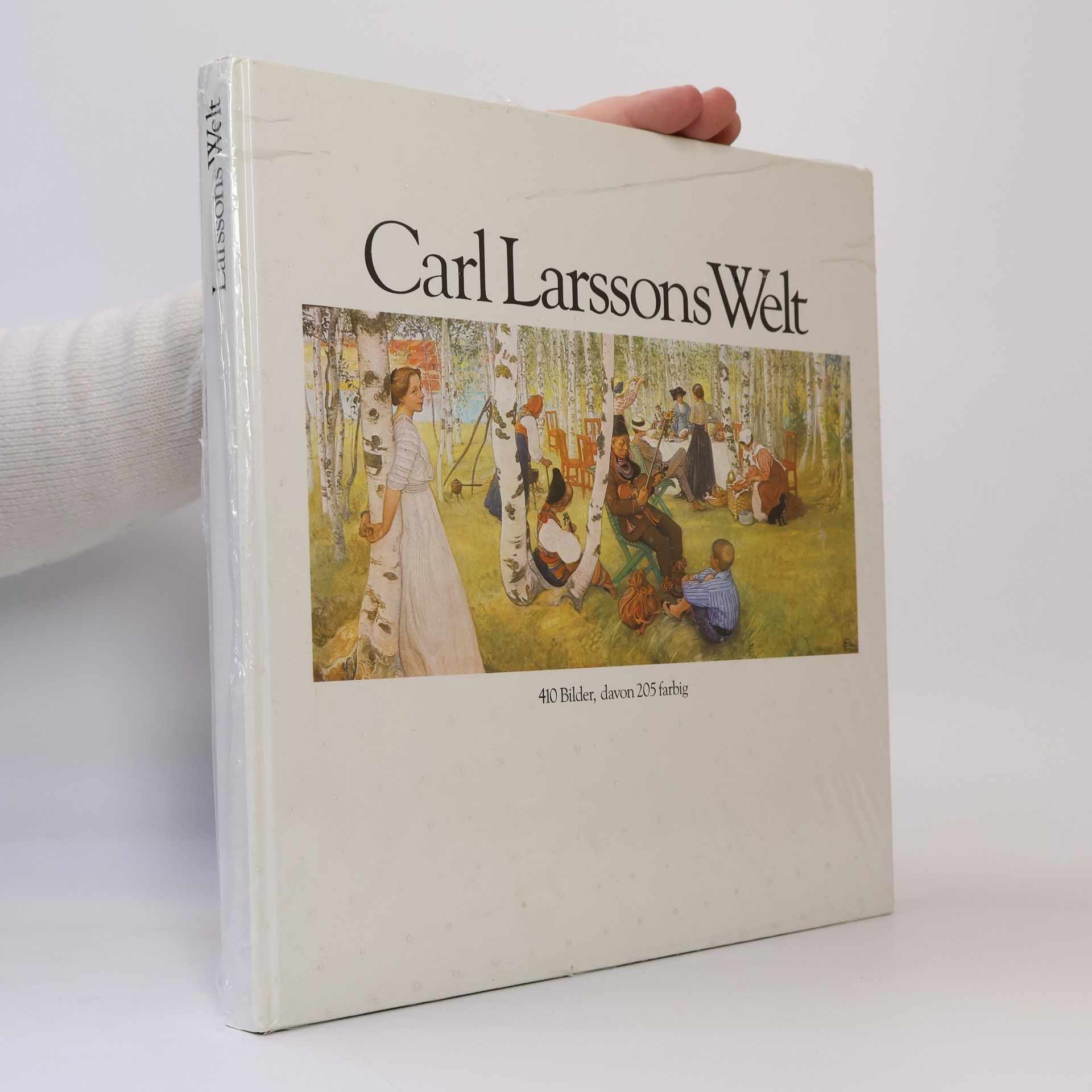 Autorenkollektiv Carl Larssons Welt