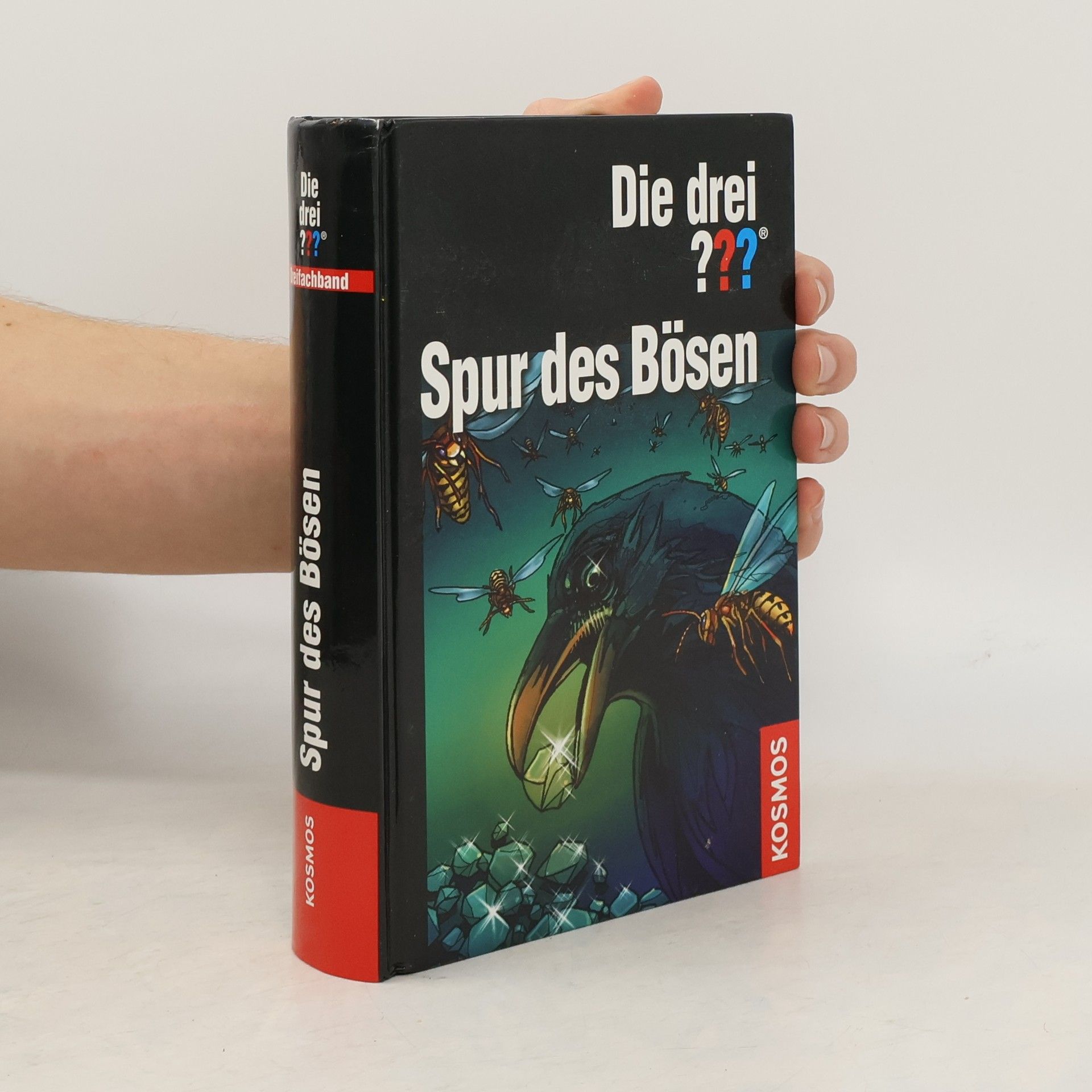 Die drei ??? - Spur des Bösen