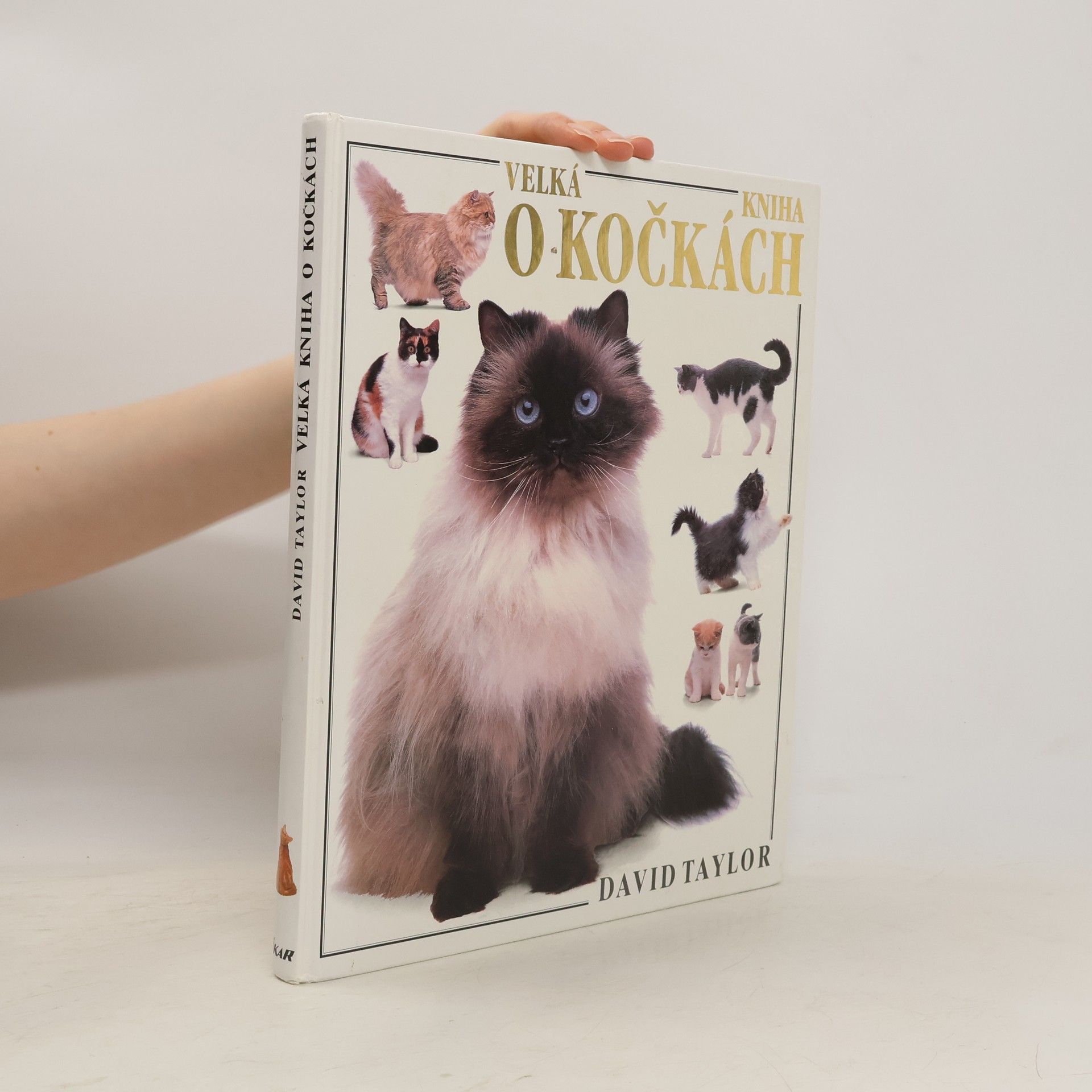 David Taylor Velká kniha o kočkách