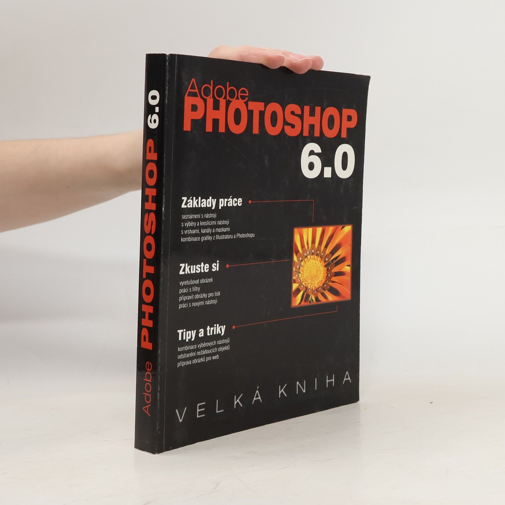 Pavel Knotek Velká kniha Adobe Photoshop 6.0