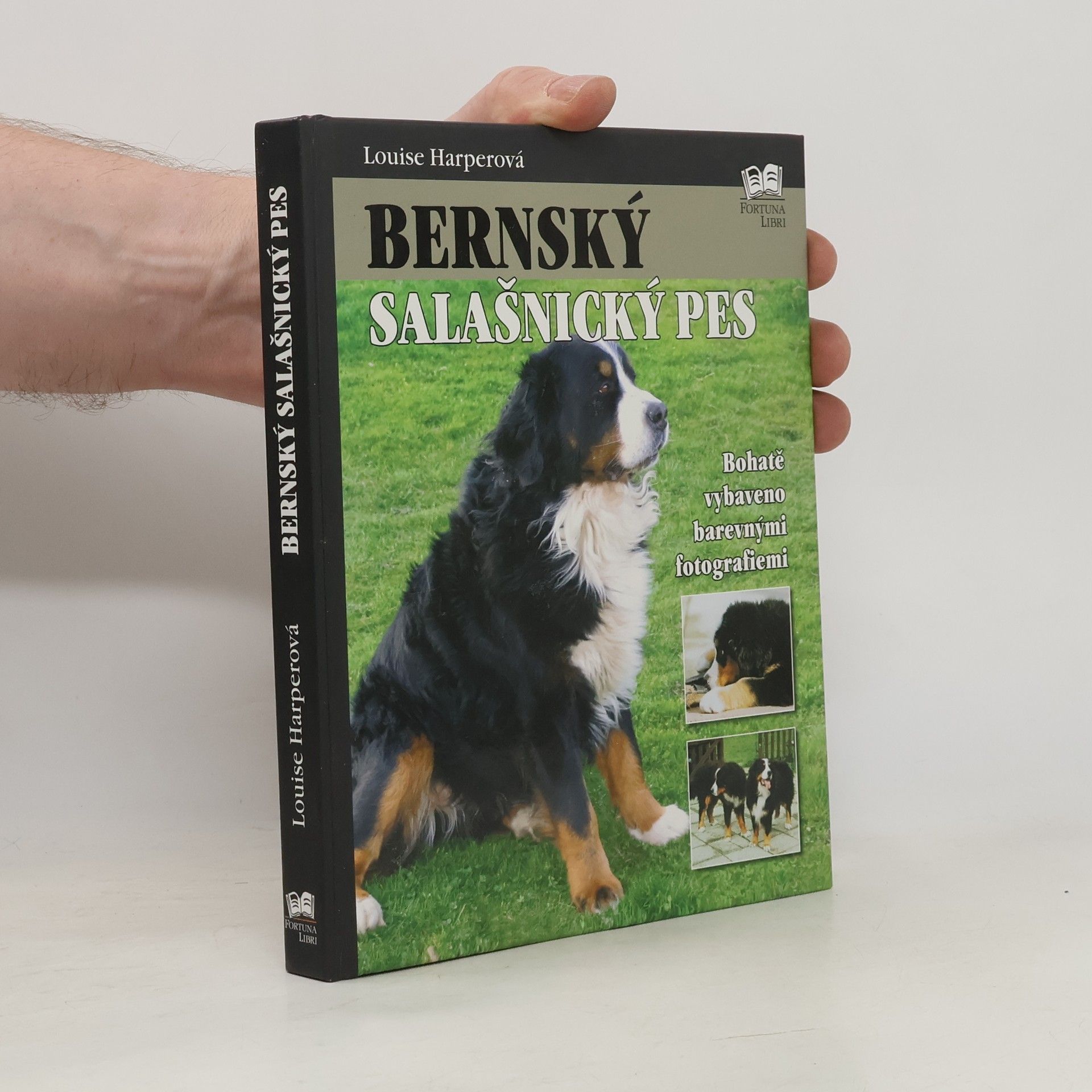 Louise Harper Bernský salašnický pes