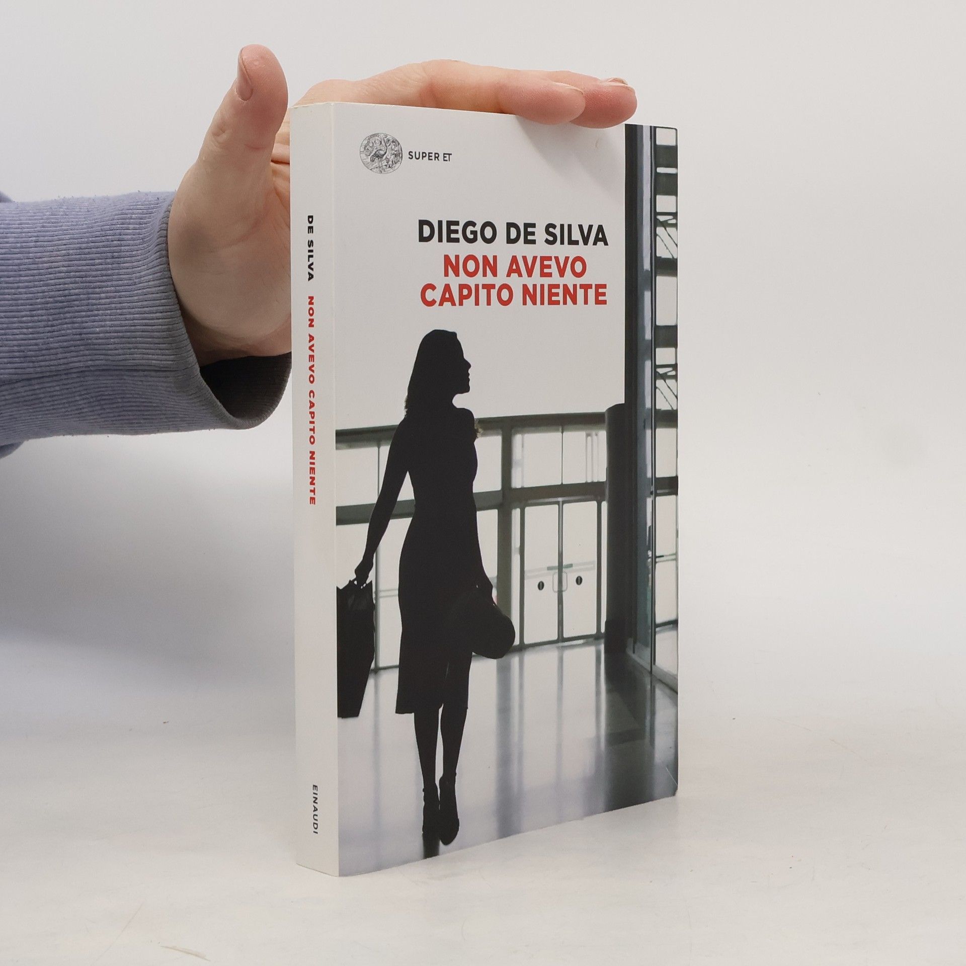 Diego De Silva Non avevo capito niente