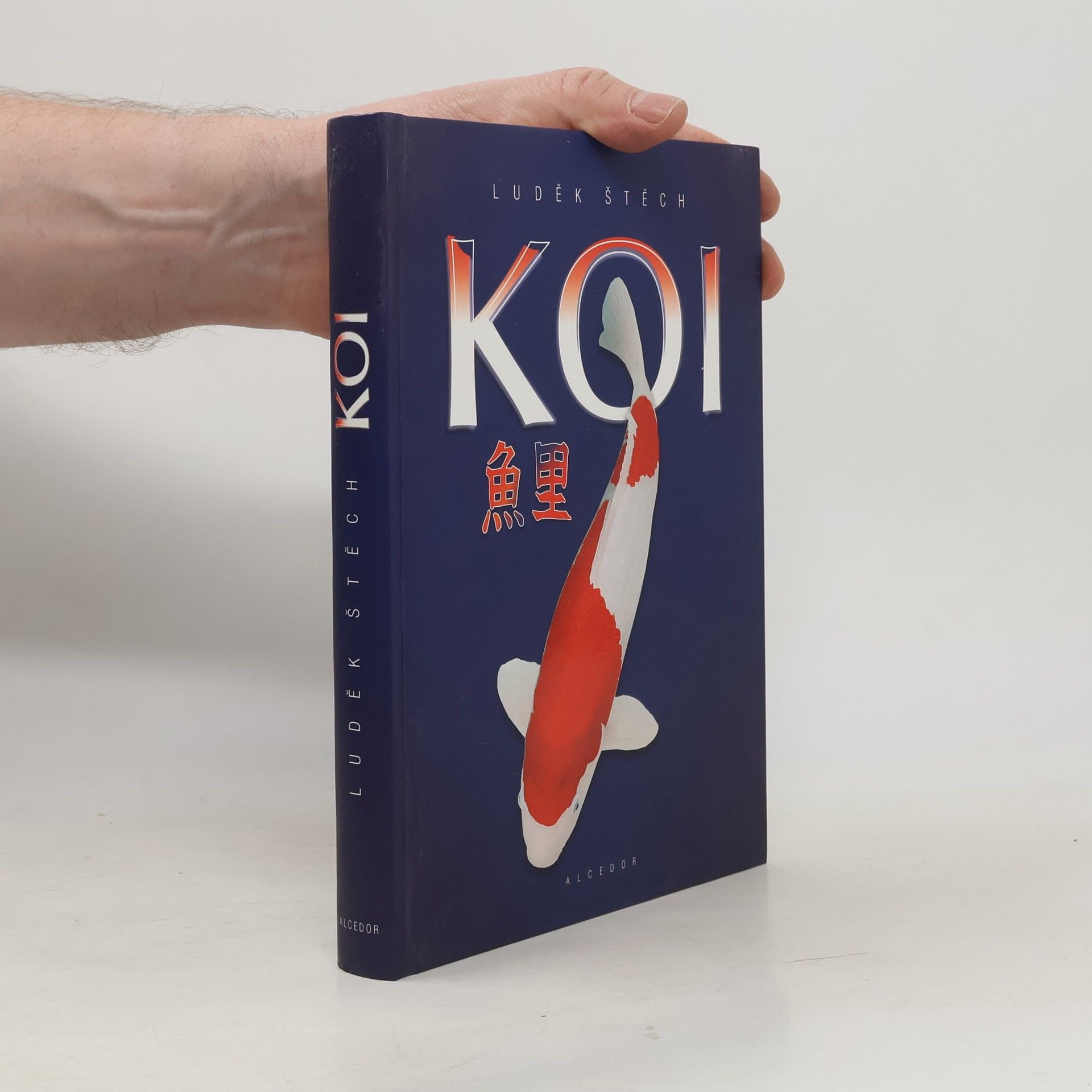 Luděk Štěch Koi