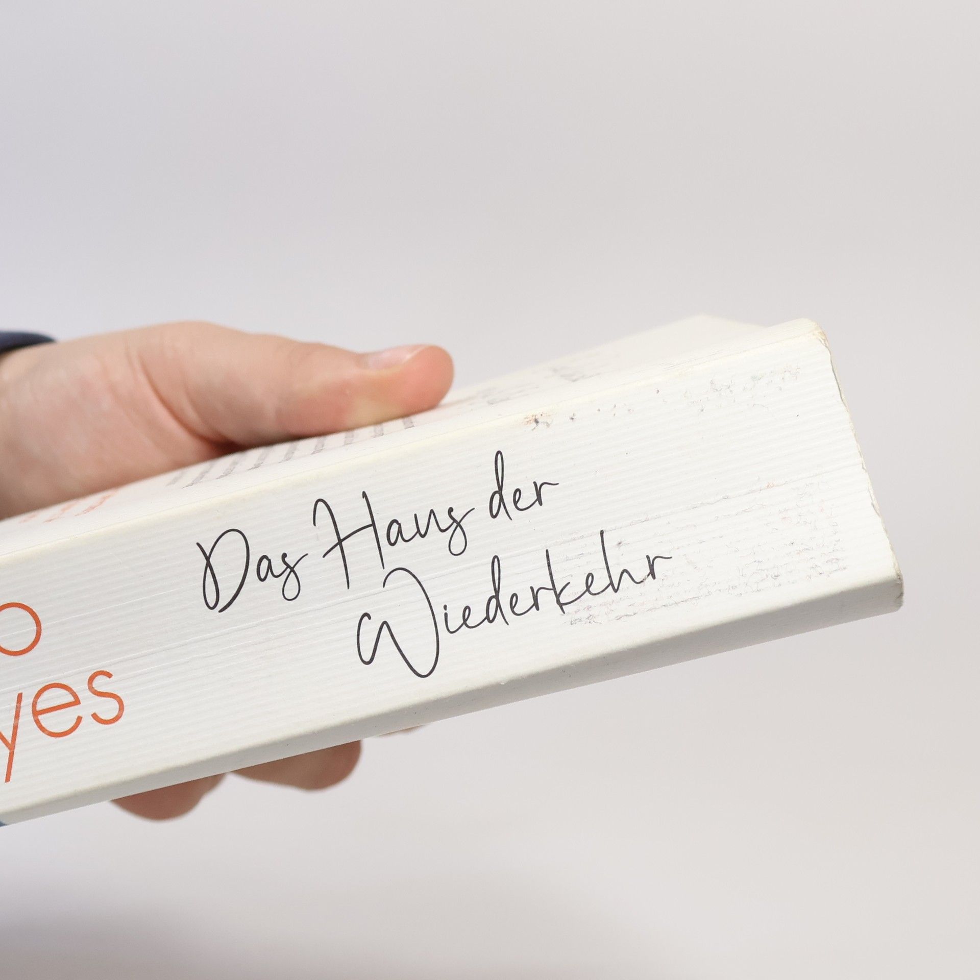 Jojo Moyes Das Haus der Wiederkehr
