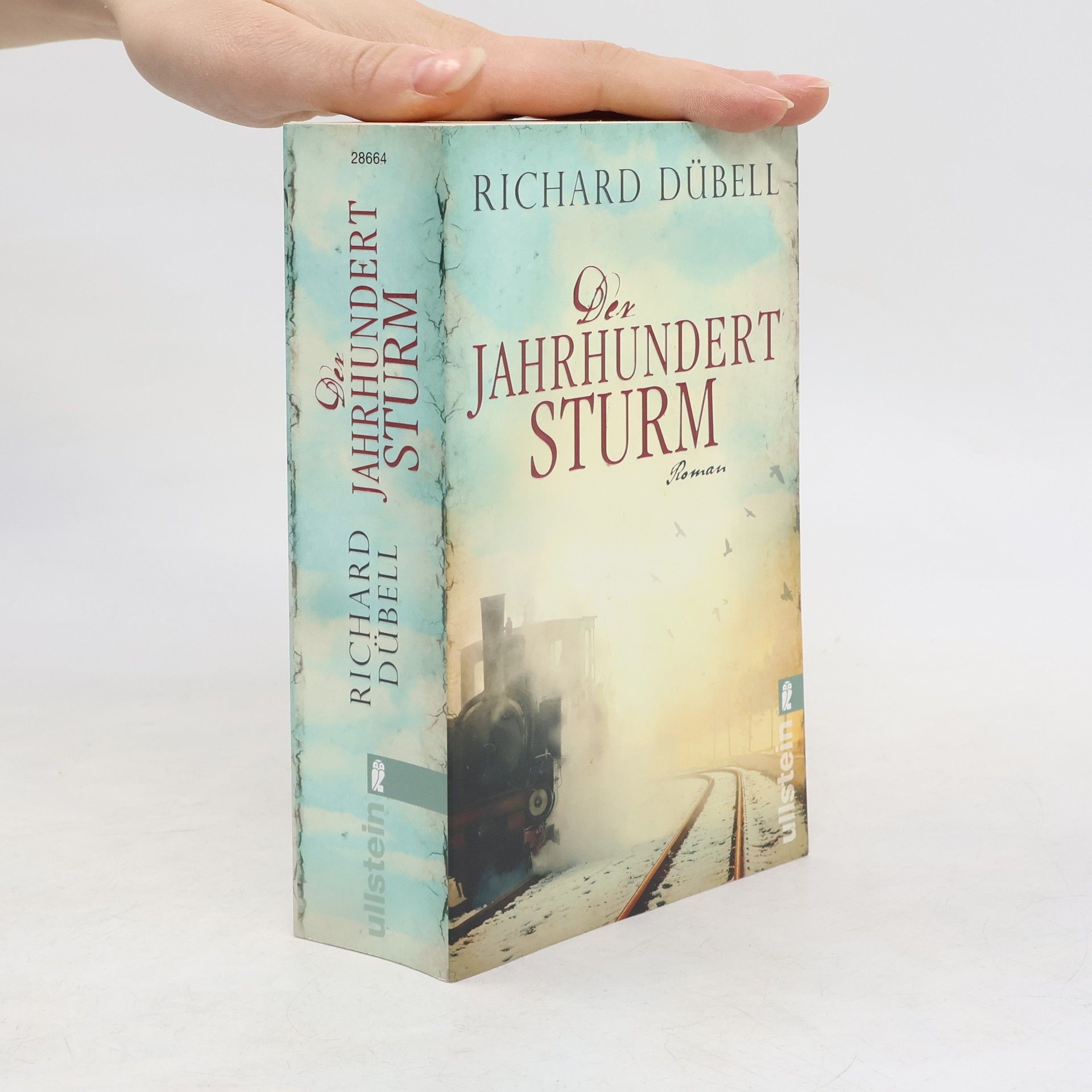 Richard Dübell Den Jahrhundertsturm