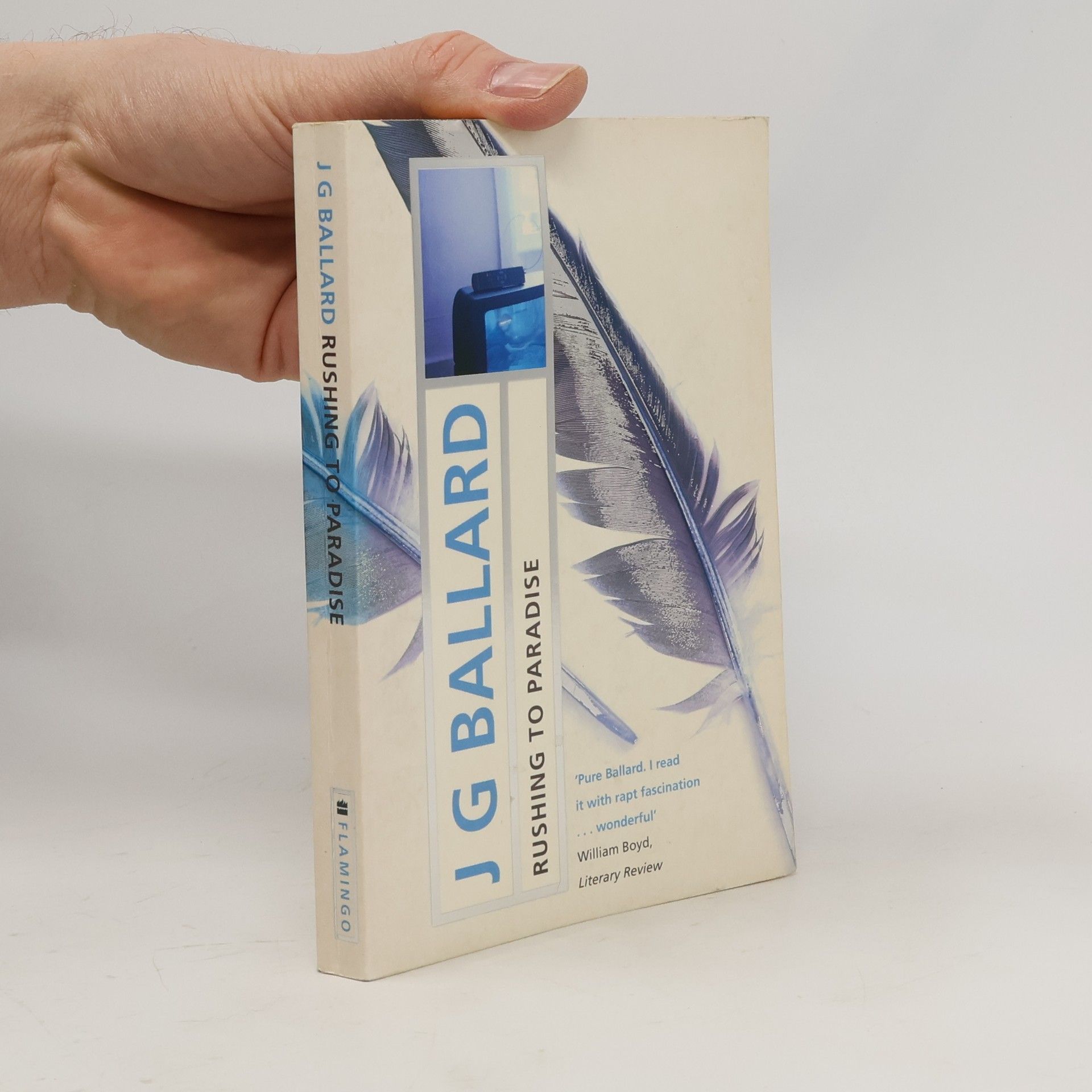 James Graham Ballard Rushing to Paradise