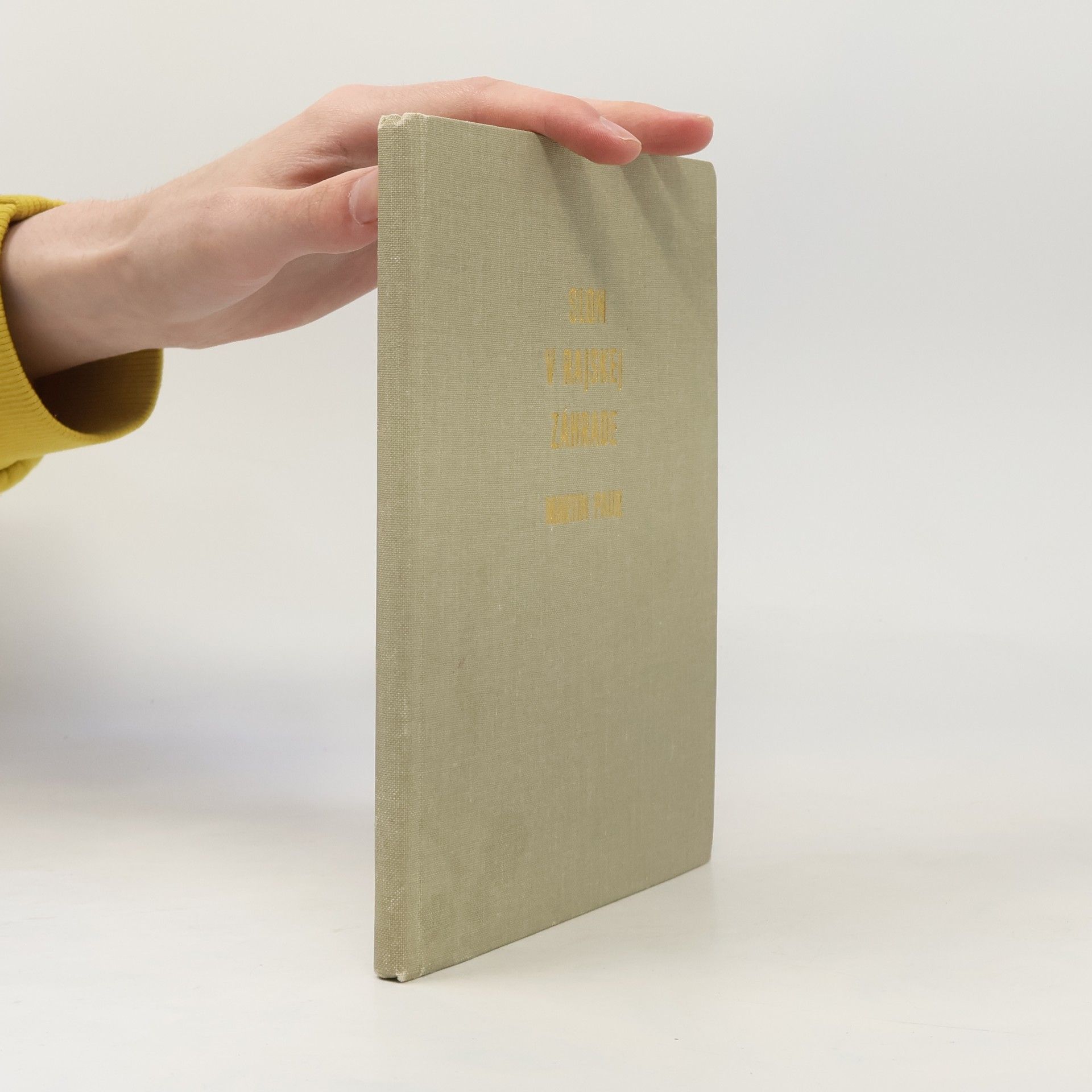 Martin Paur Slon v rajskej záhrade