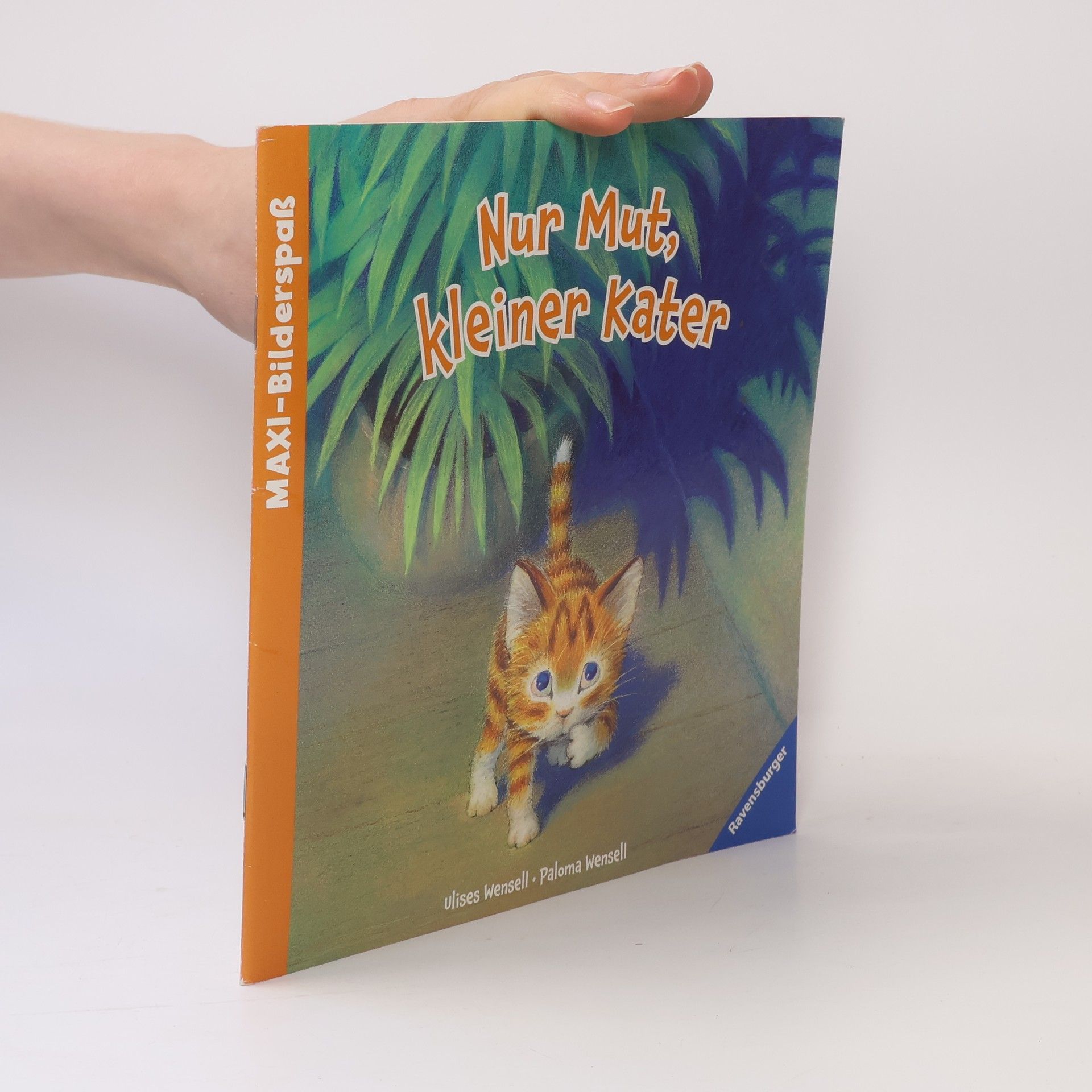 Maxi-Bilderspaß: Nur Mut, kleiner Kater