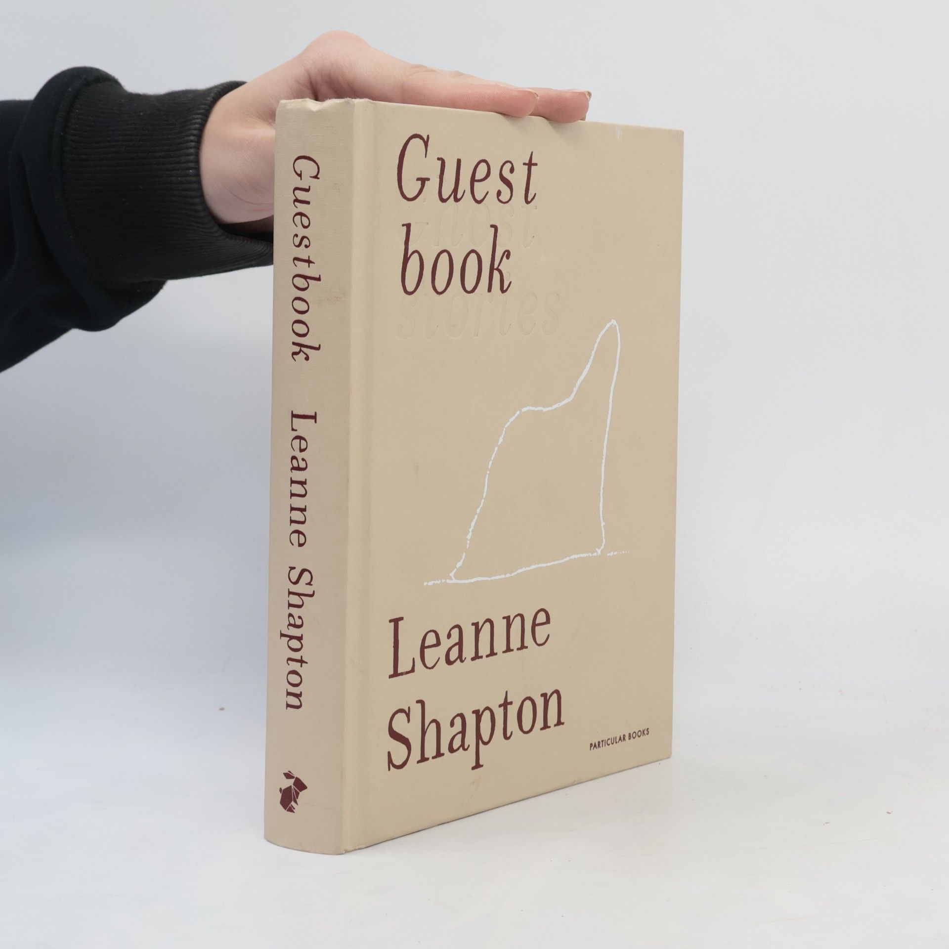 Leanne Shapton Guestbook