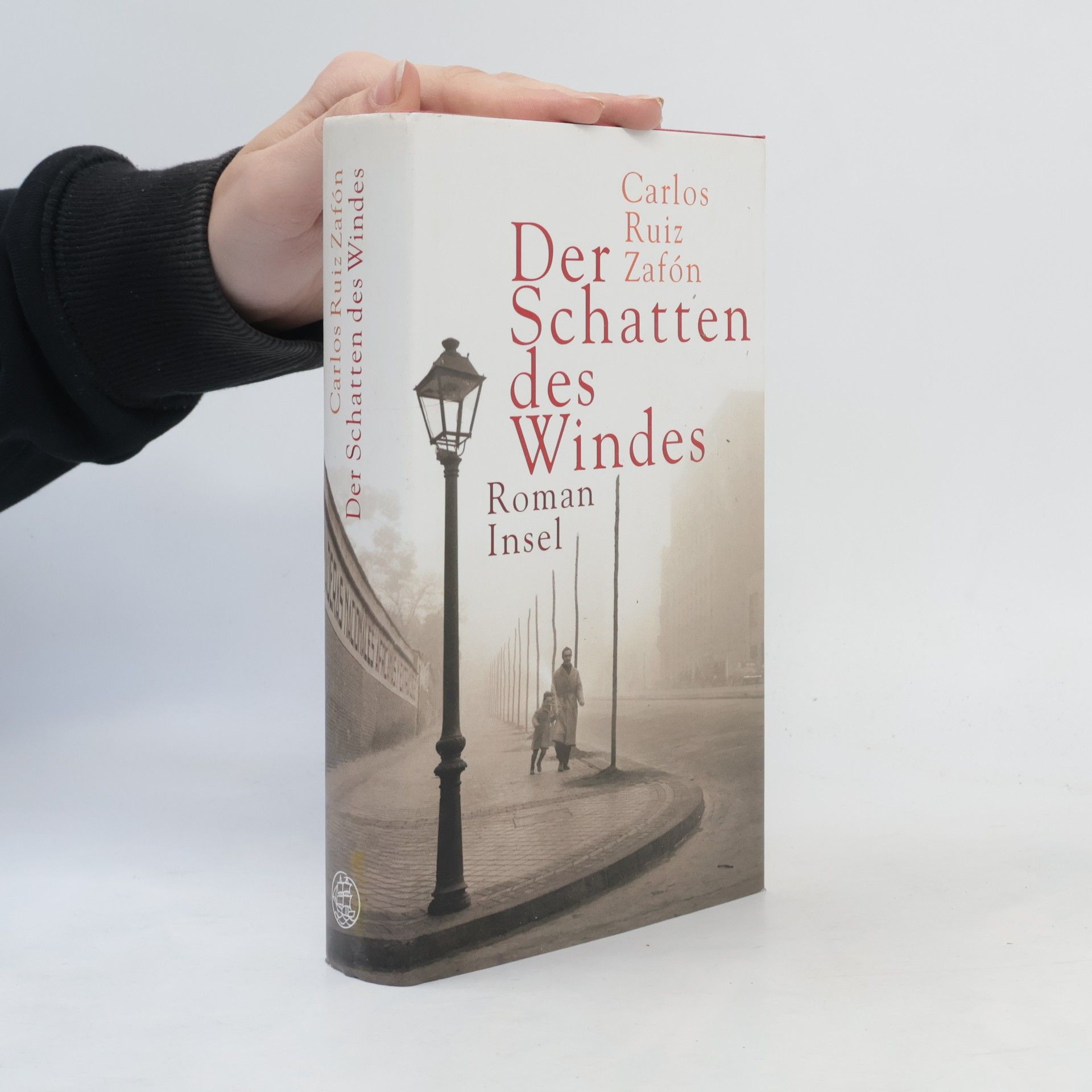 Carlos Ruiz Zafón Der Schatten des Windes