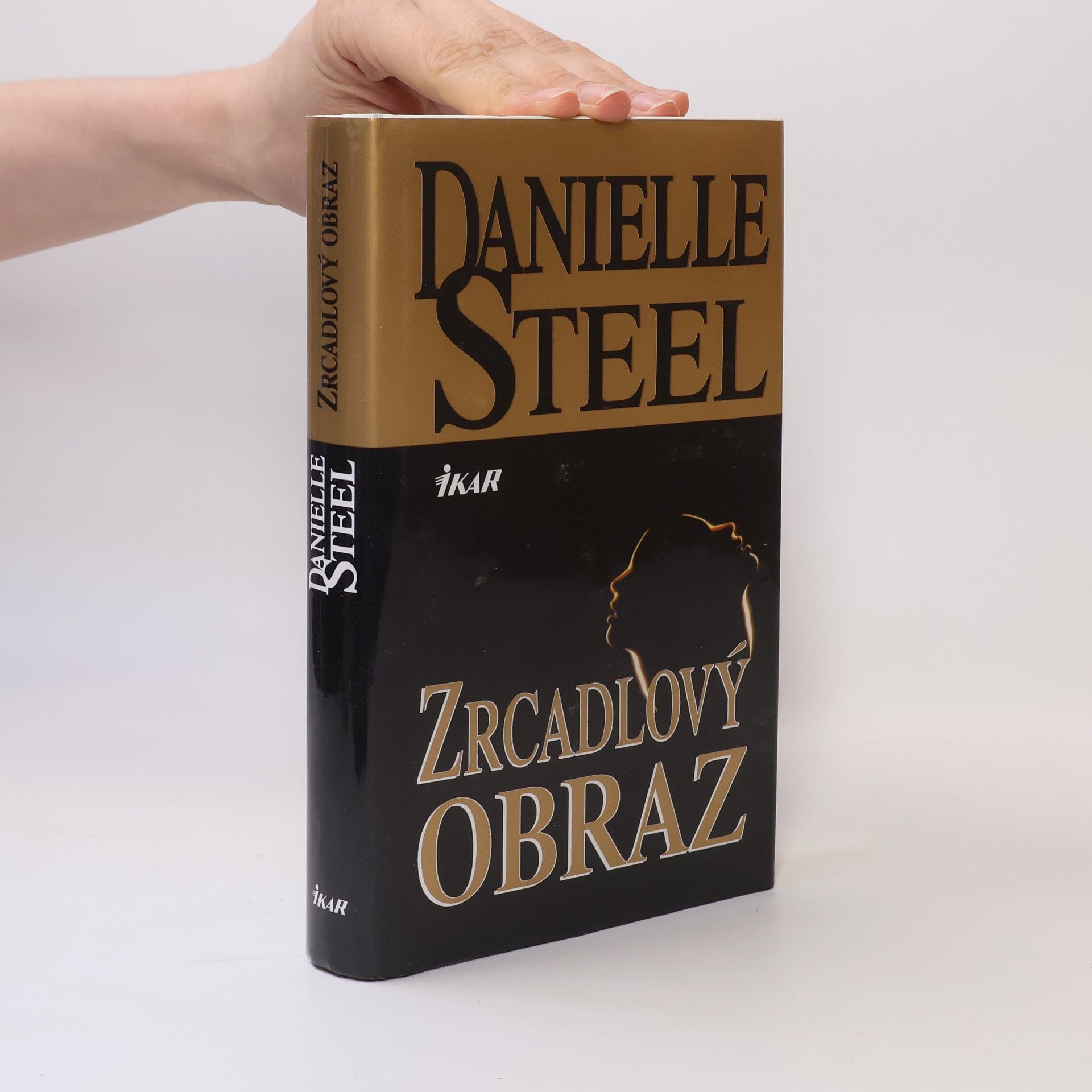 Danielle Steel Zrcadlový obraz