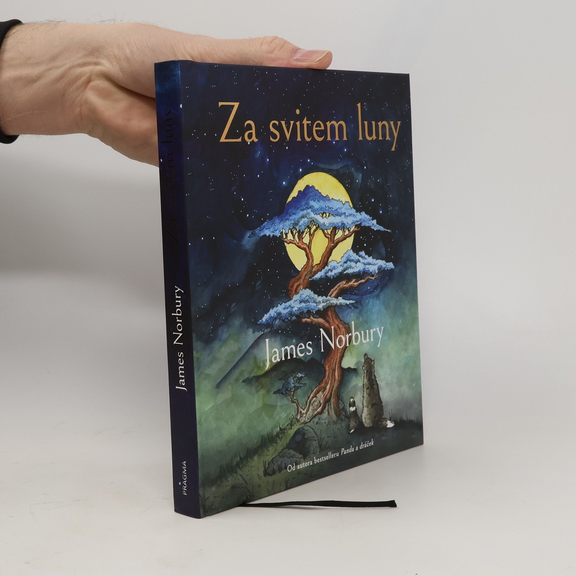 James Norbury Za svitem luny