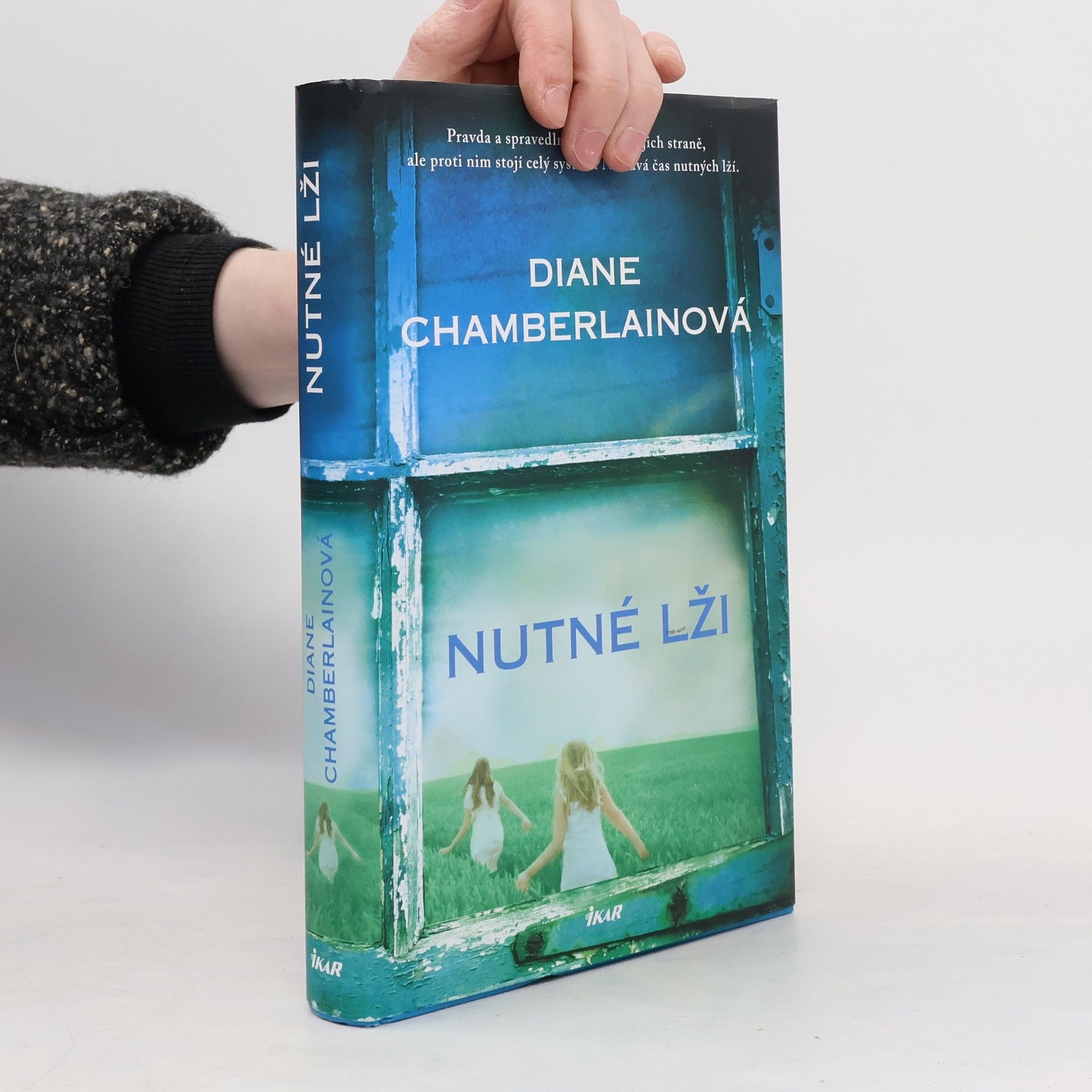 Diane Chamberlain Nutné lži