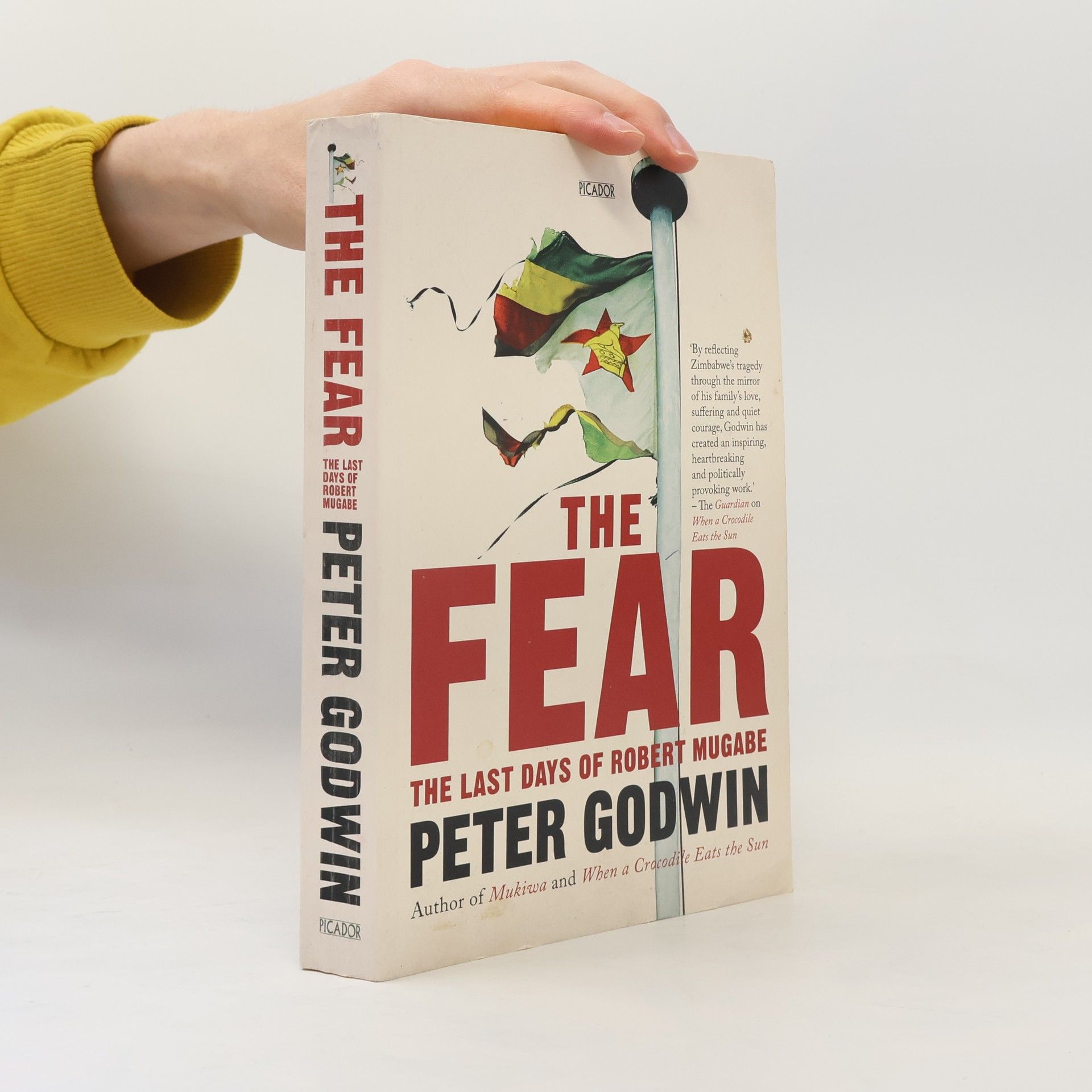 Peter Godwin The Fear