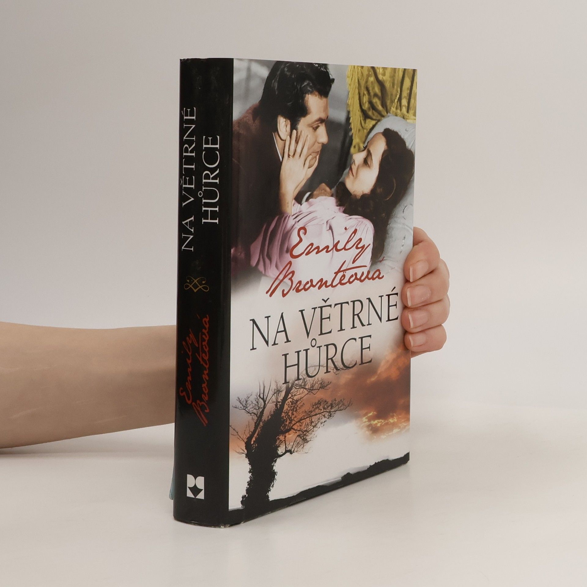 Emily Brontë Na Větrné hůrce