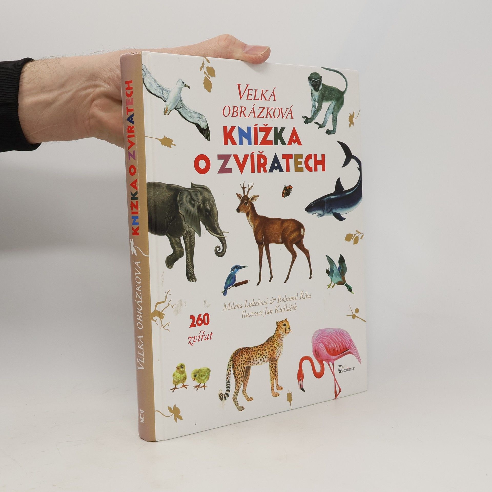 Milena Lukešová Velká obrázková knížka o zvířatech. 260 zvířat od A do Z